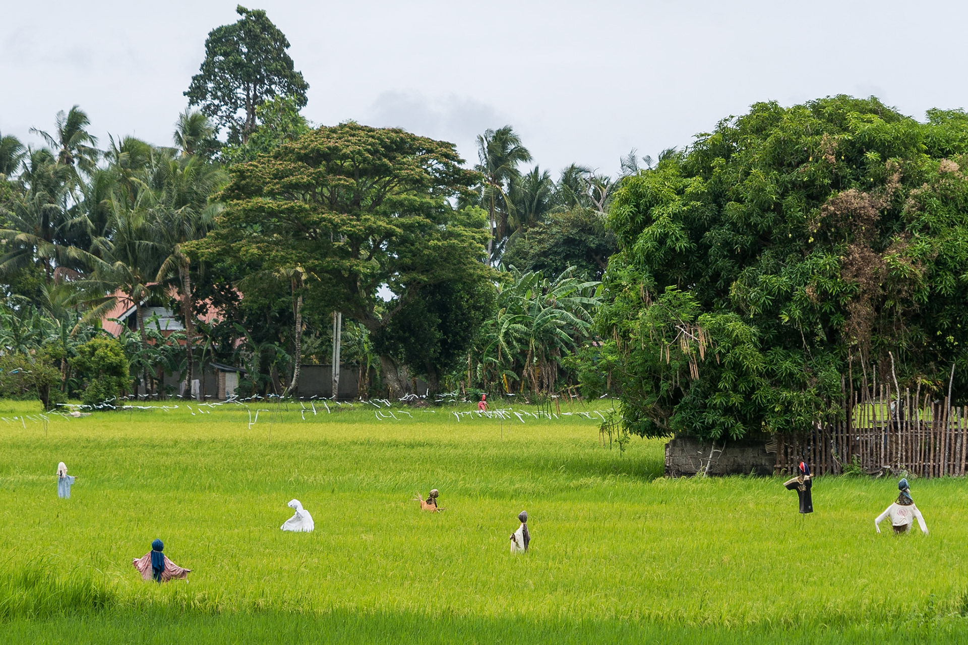 The Philippines, Siquijor Island