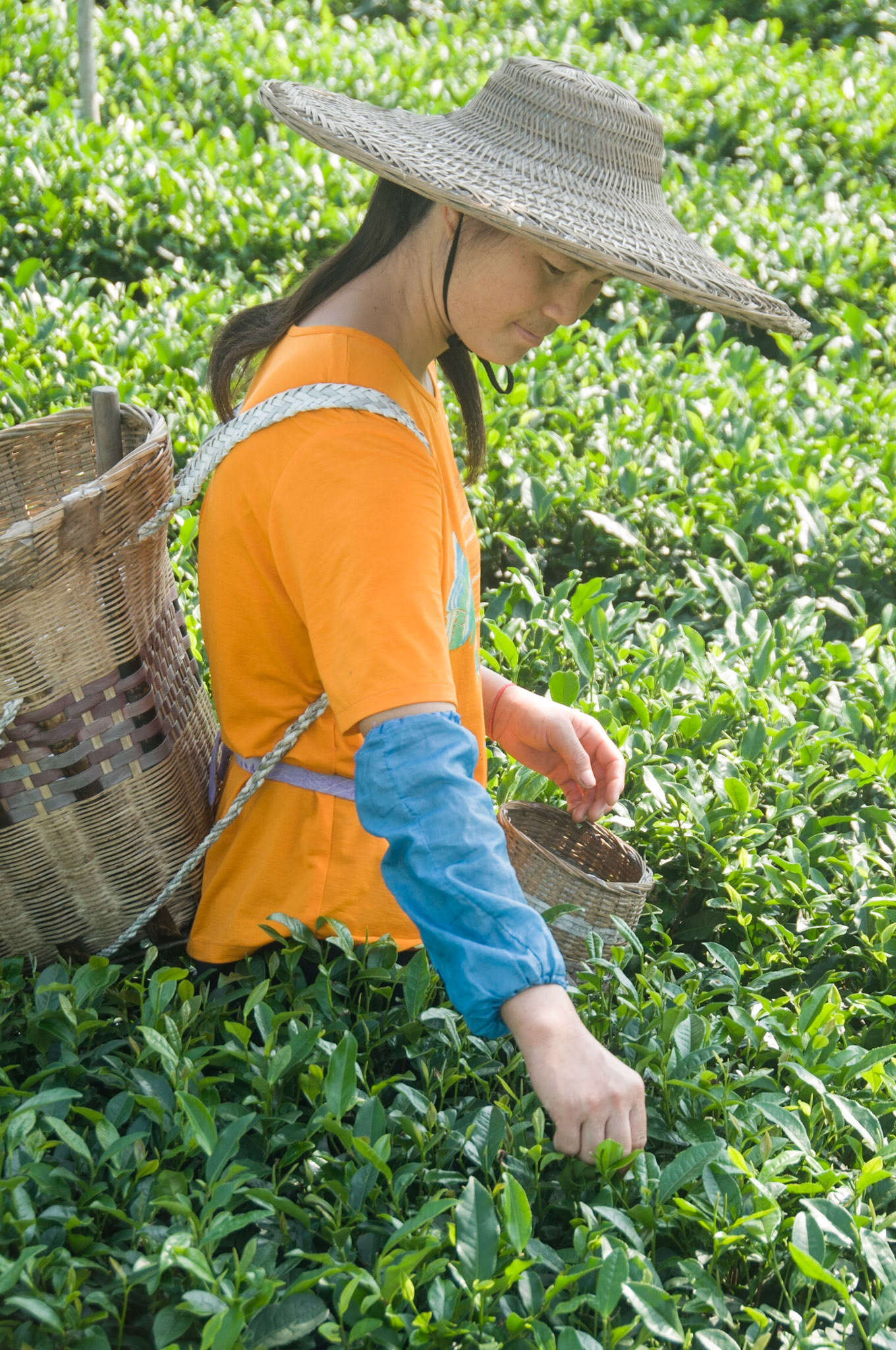 China, South Sicnuan  Province,