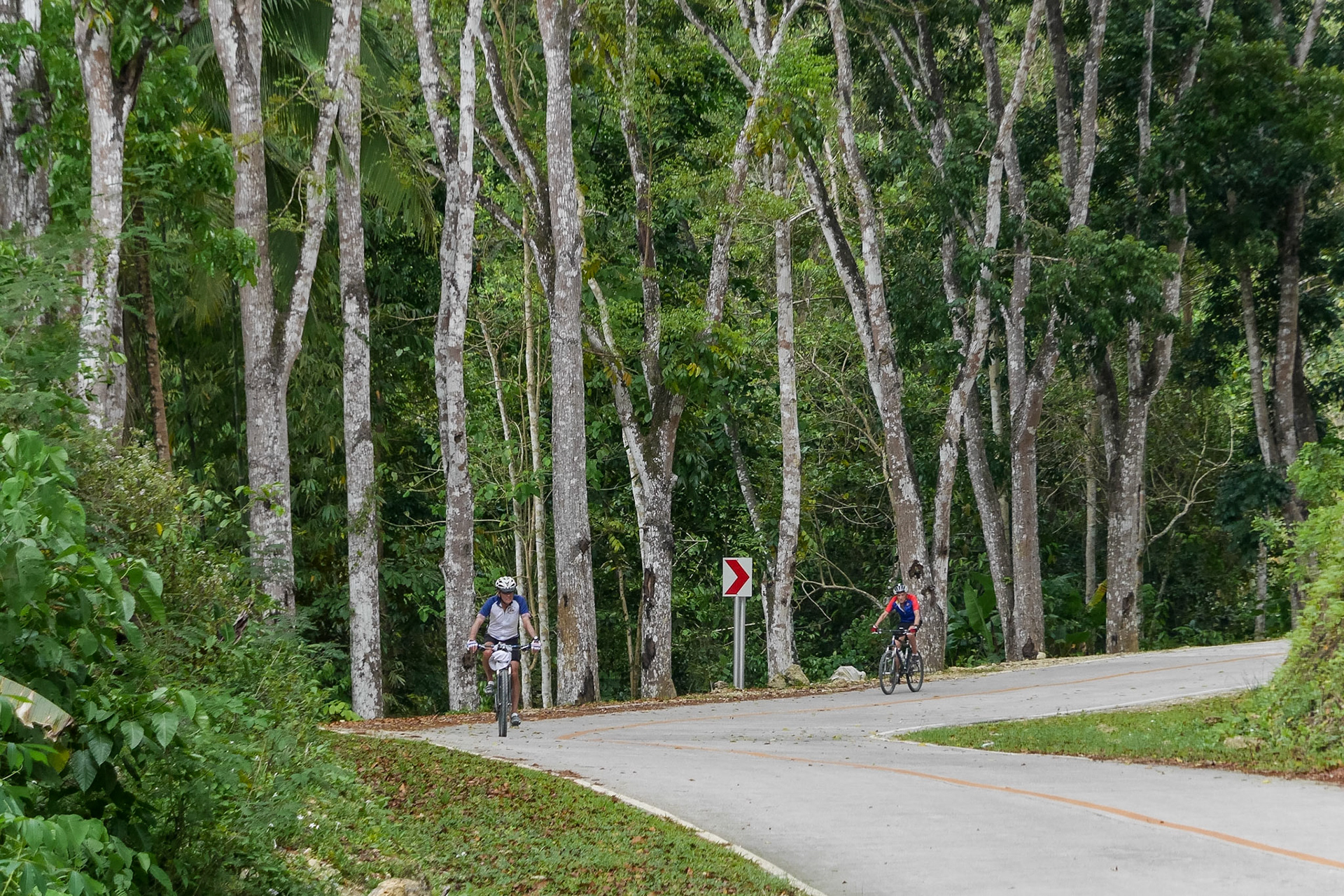 The Philippines, Bohol Island,