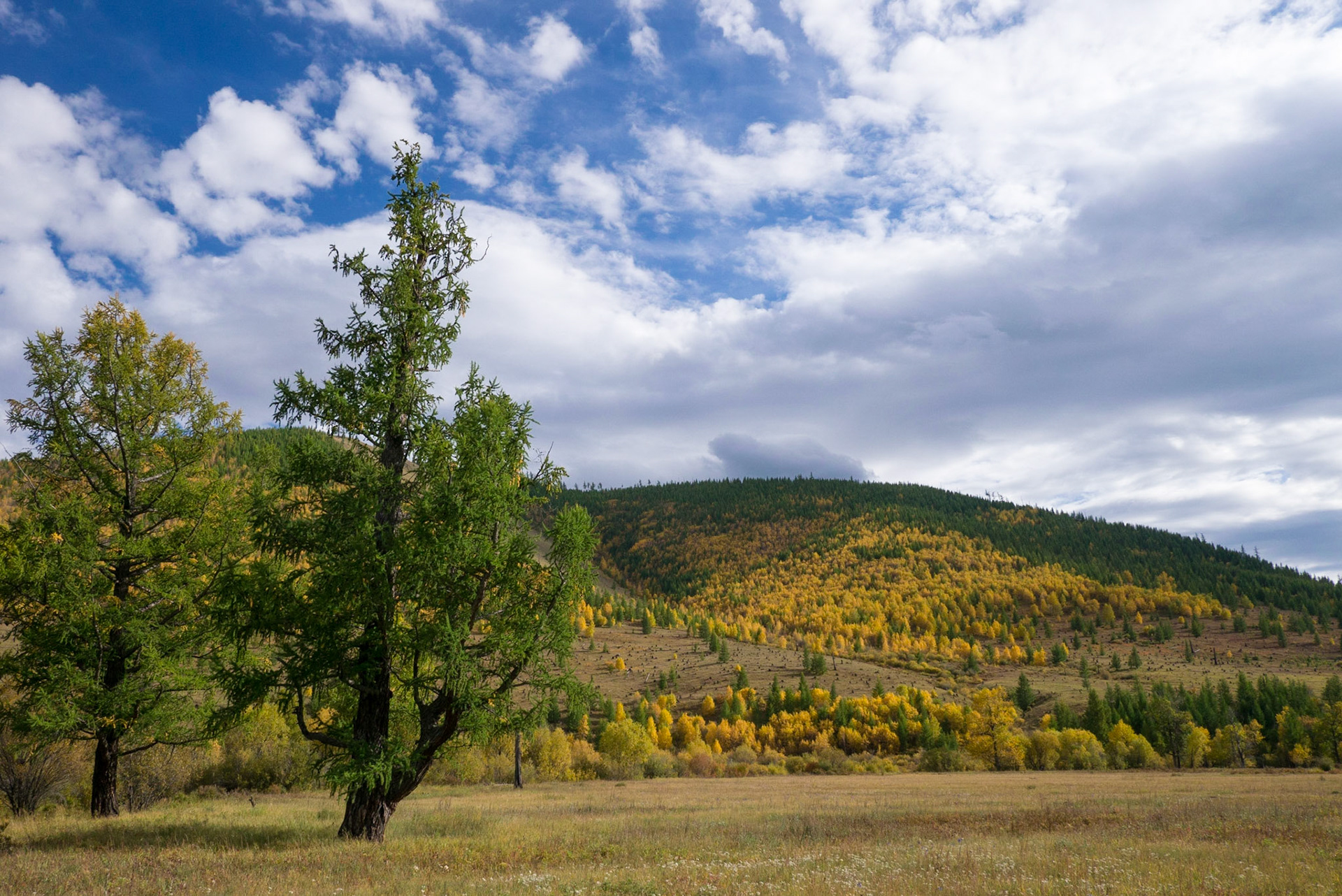 Mongolia, photos from a bicycle tour with Compass Rose Expeditions