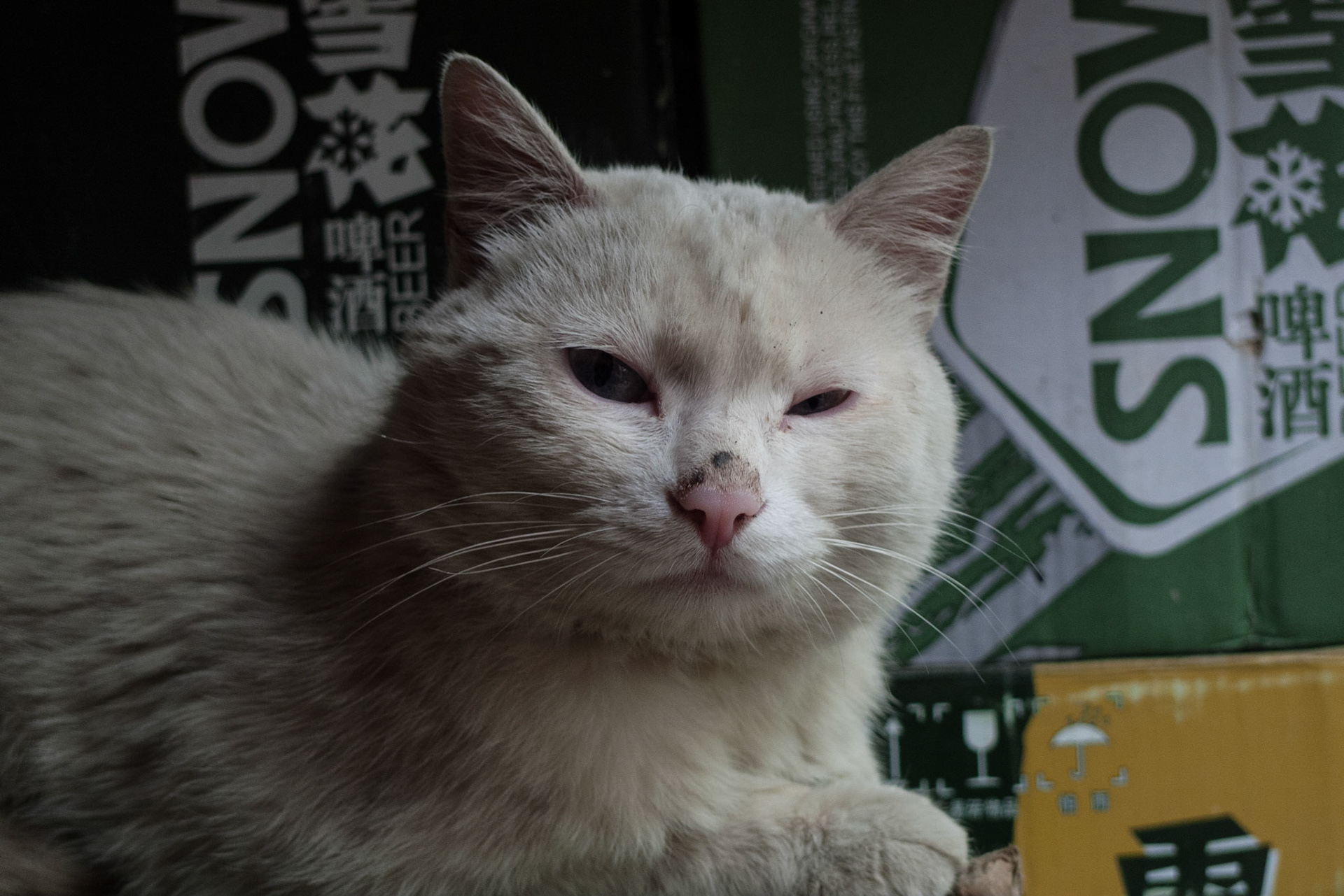 China, Eastern Tibet or Western Sichuan, also krown as Kham,