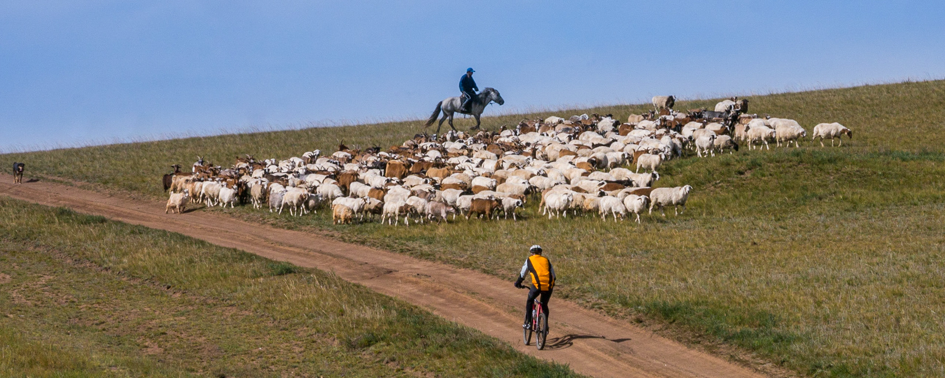 Mongolia, photos from a bicycle tour with Compass Rose Expeditions