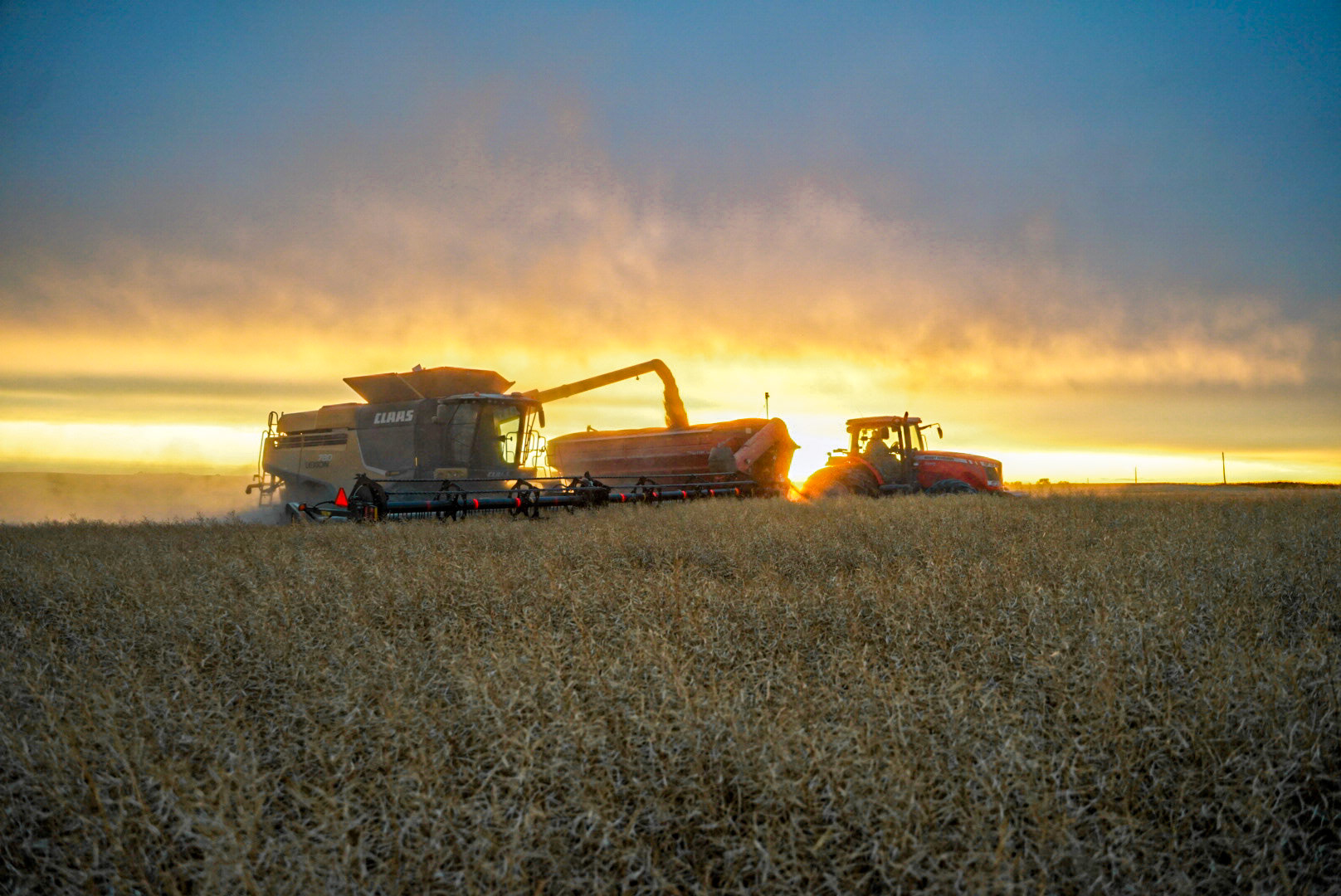 Last day of Harvest 2020!