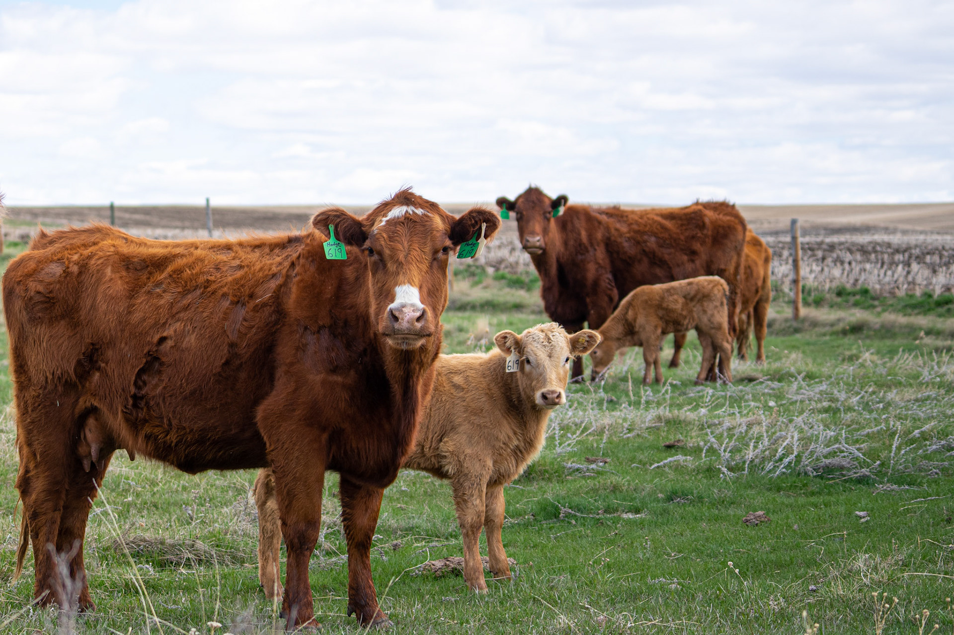 Are you done seeding yet?
