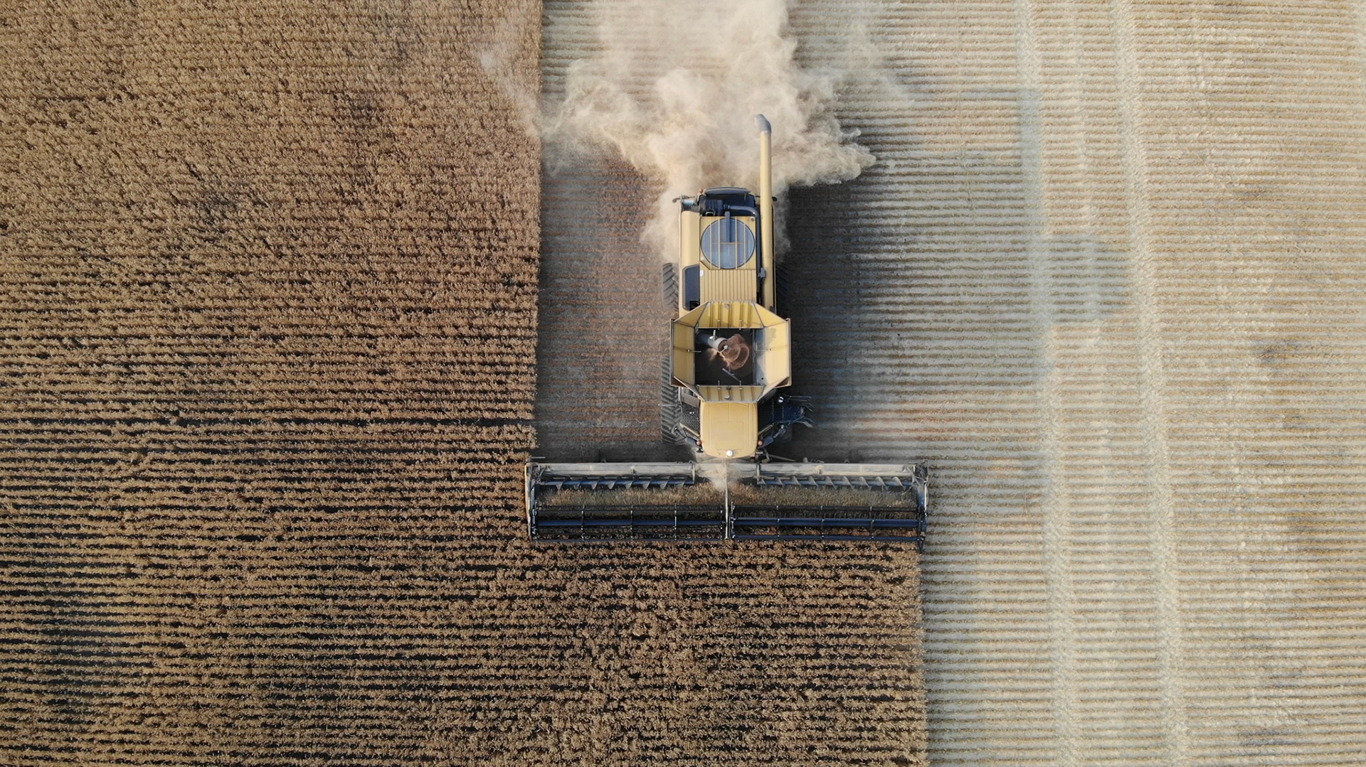 Look at those CONVIO sight lines!