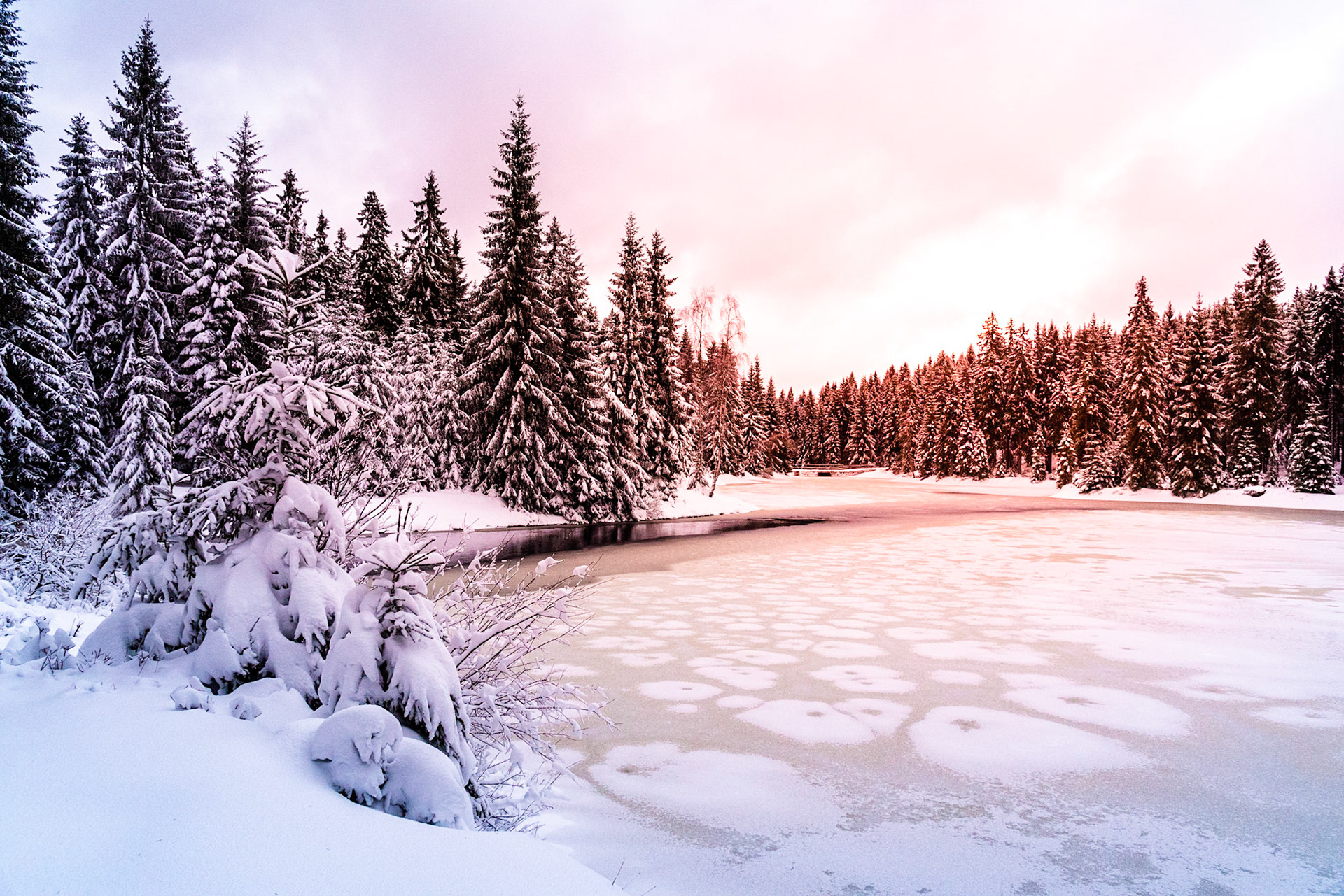 Blatny pond in winter