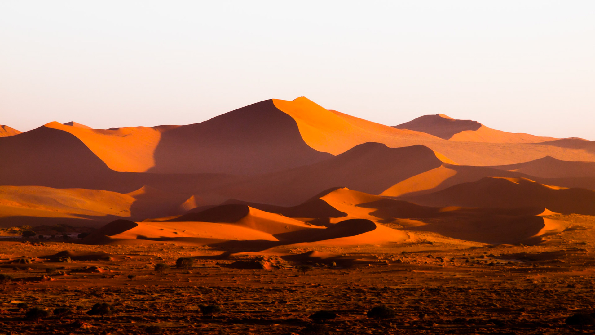 Jižní Afrika