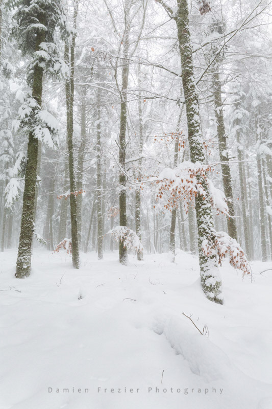 When Winter Strikes
