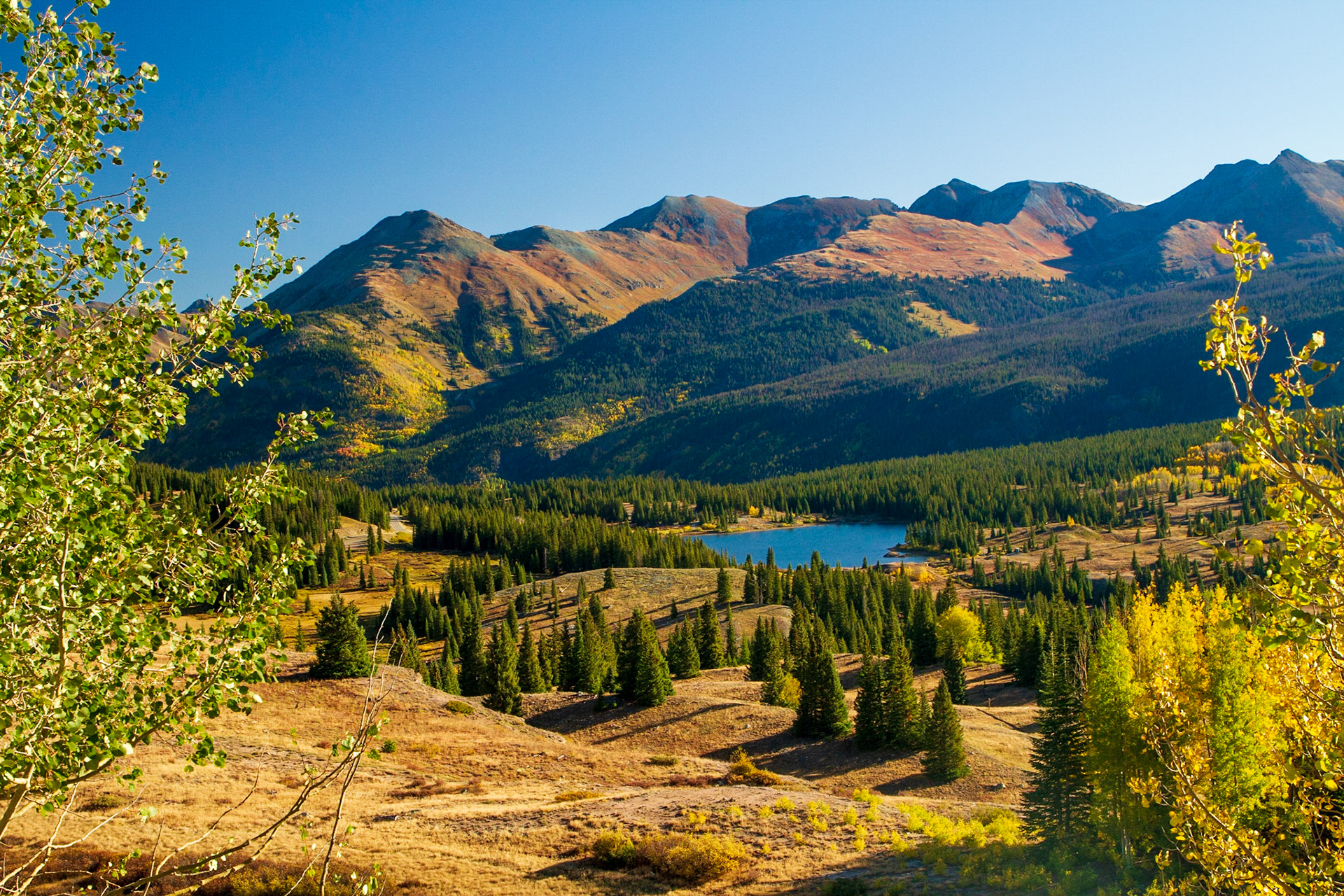 Mark Lamp Photography Durango Autumn Aspens