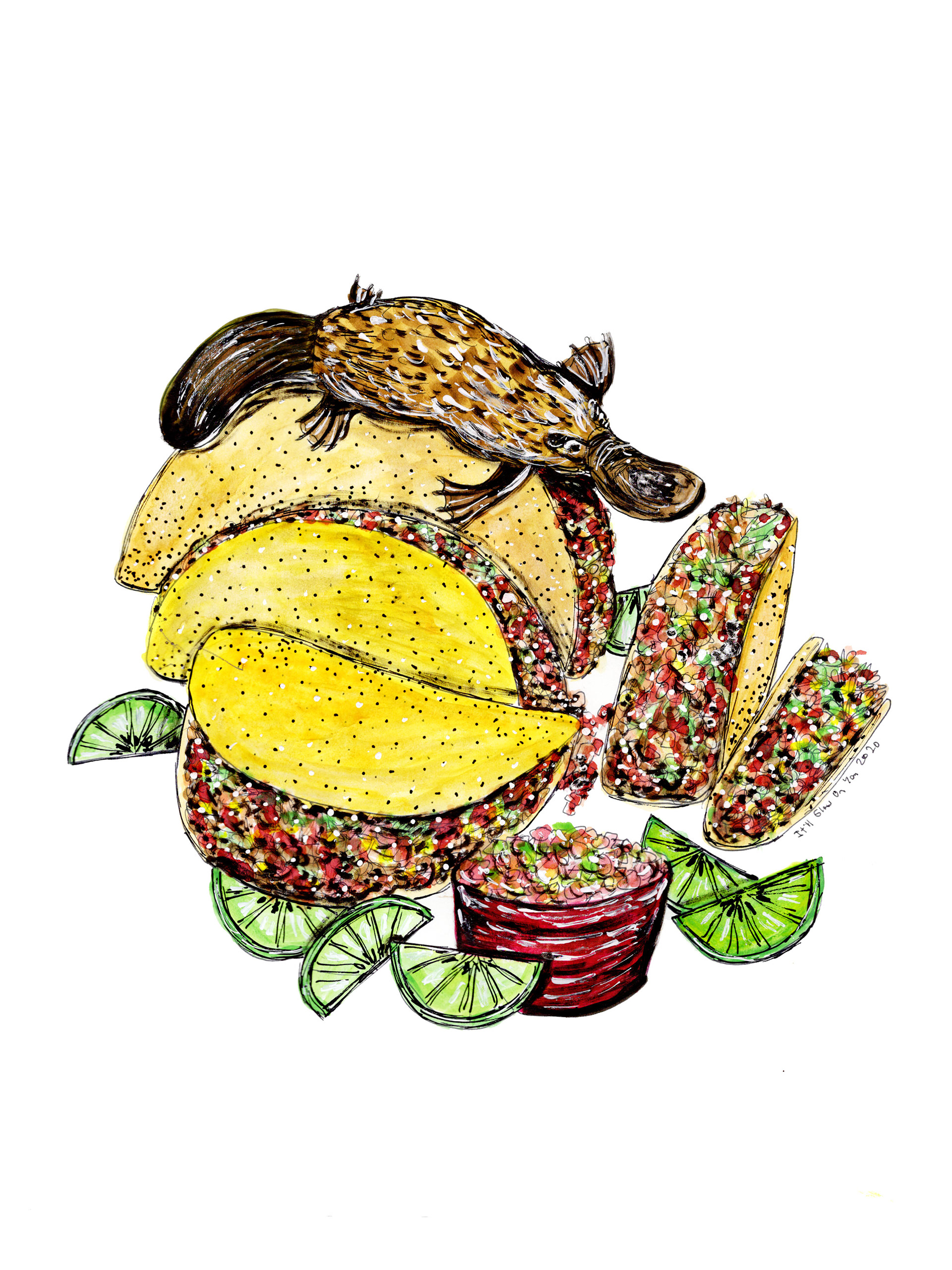 Platypus Tacos
