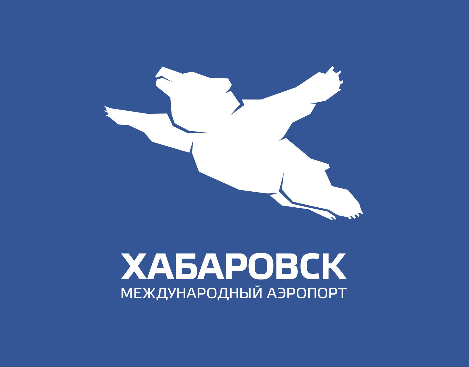 Хабаровский аэропорт медведь