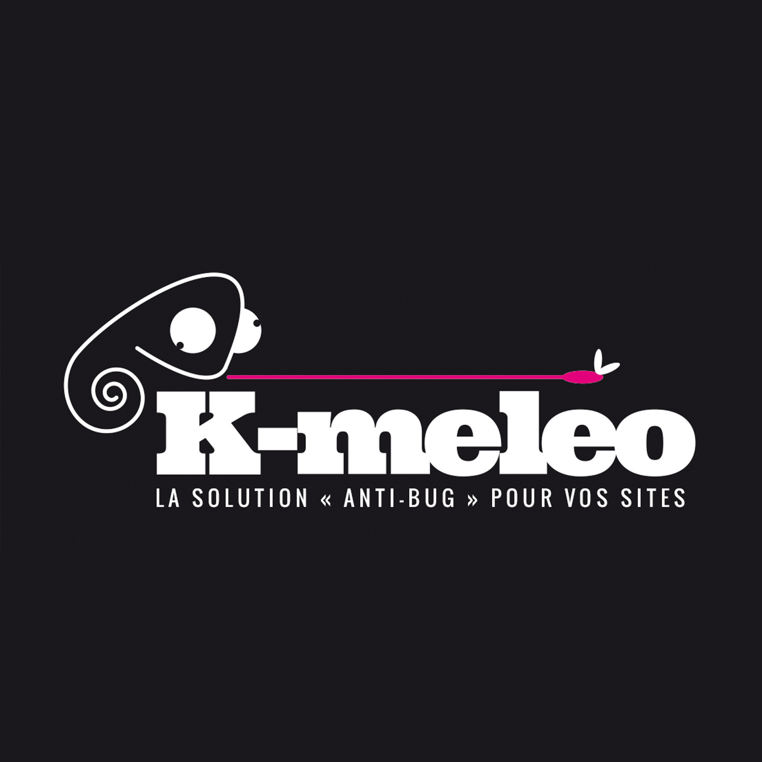 K-meleo-développement web