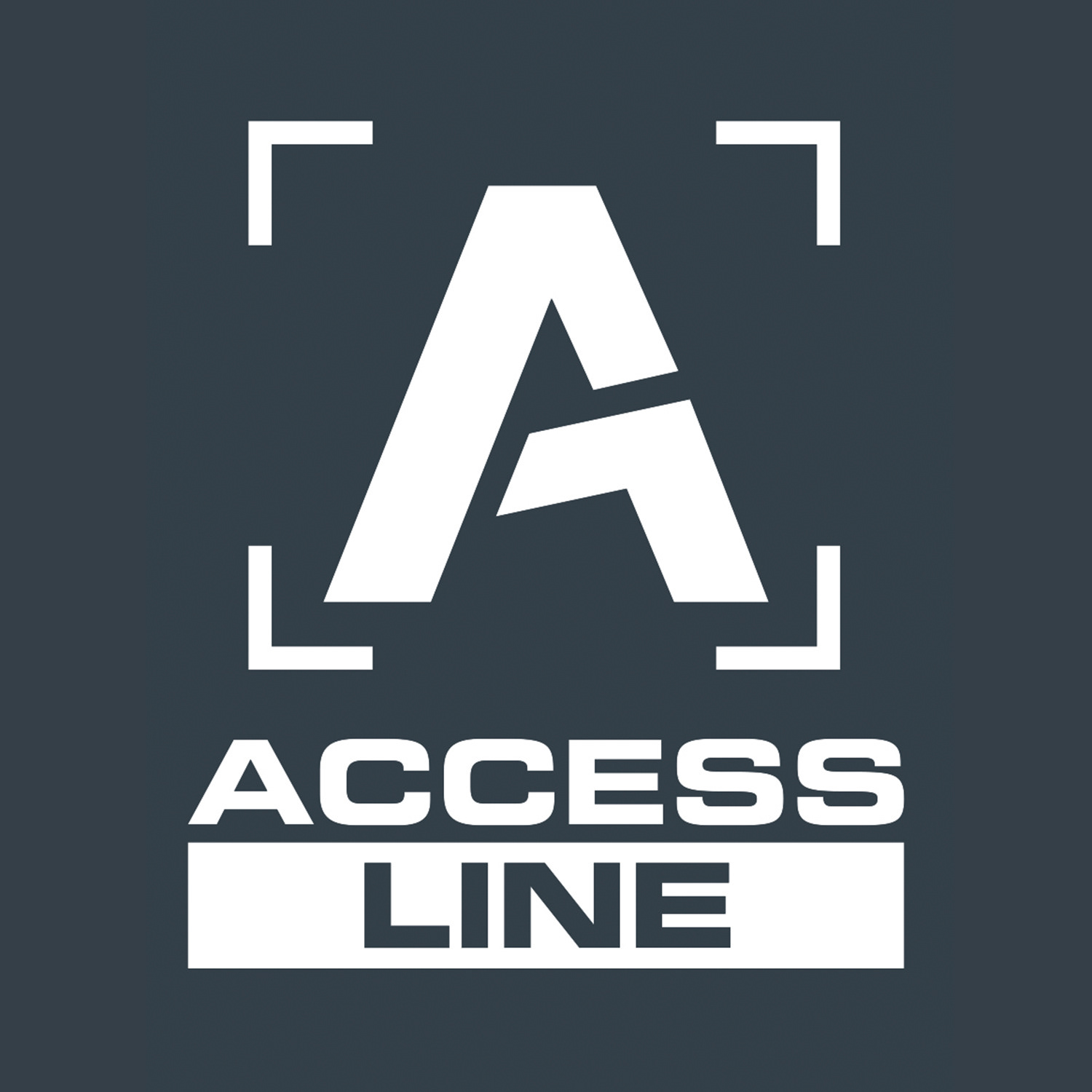 Access Line - travaux en hauteur