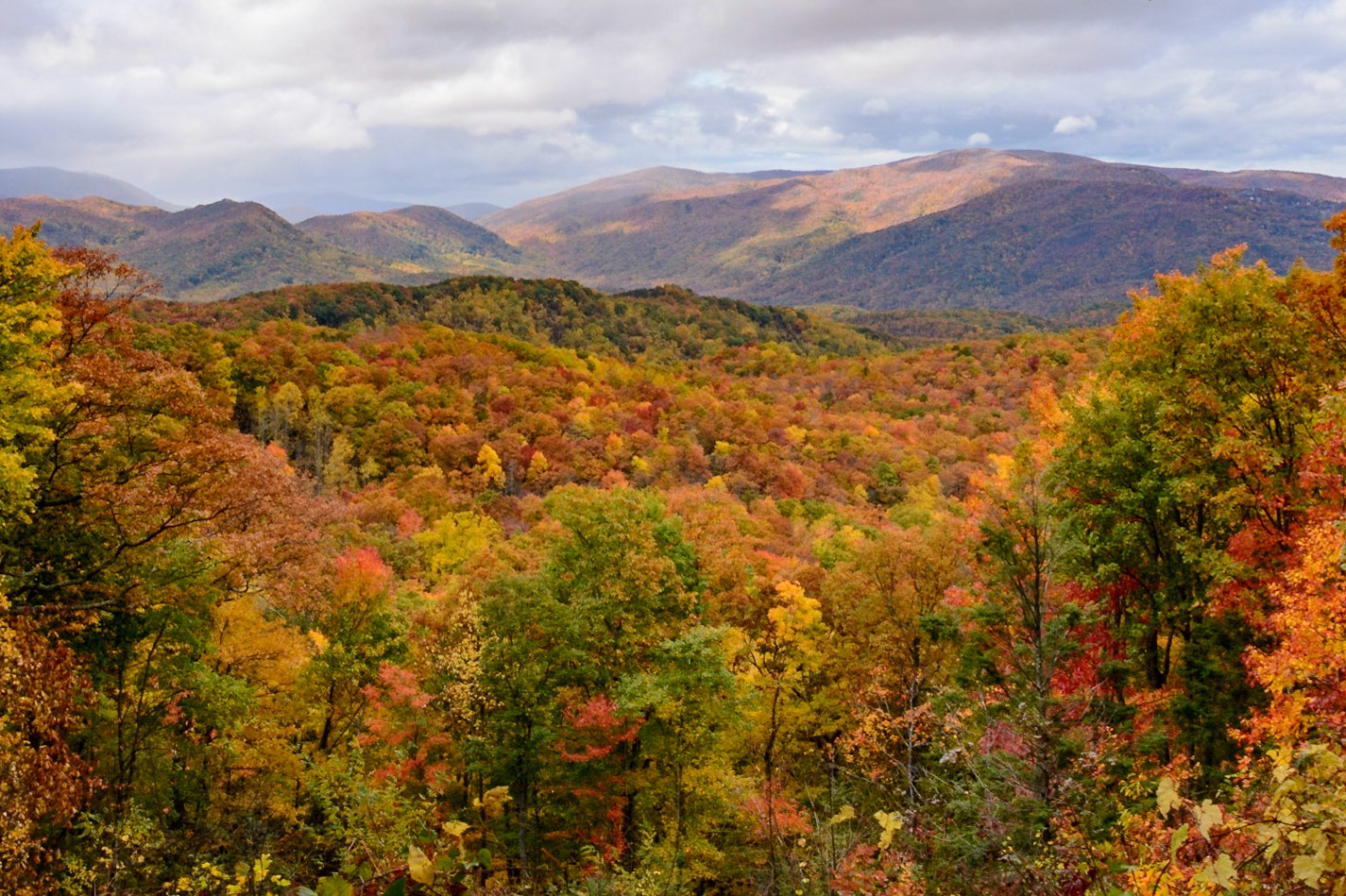 Trillium Gap Trail