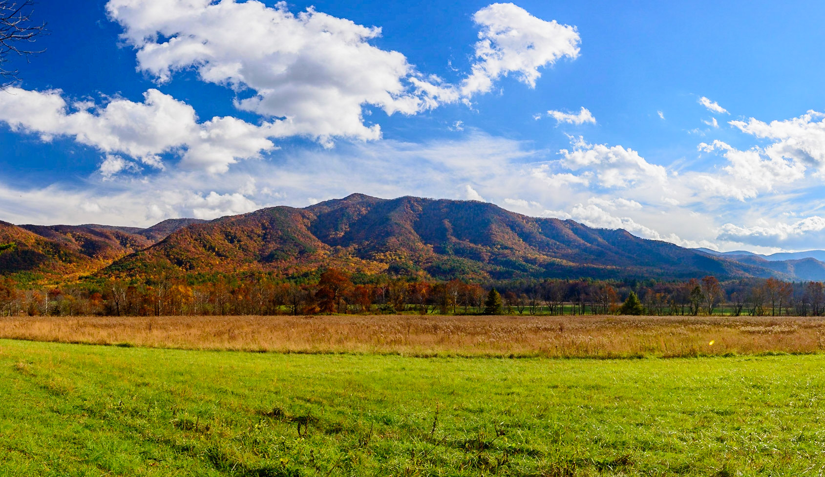 Cades Cove Loop Road