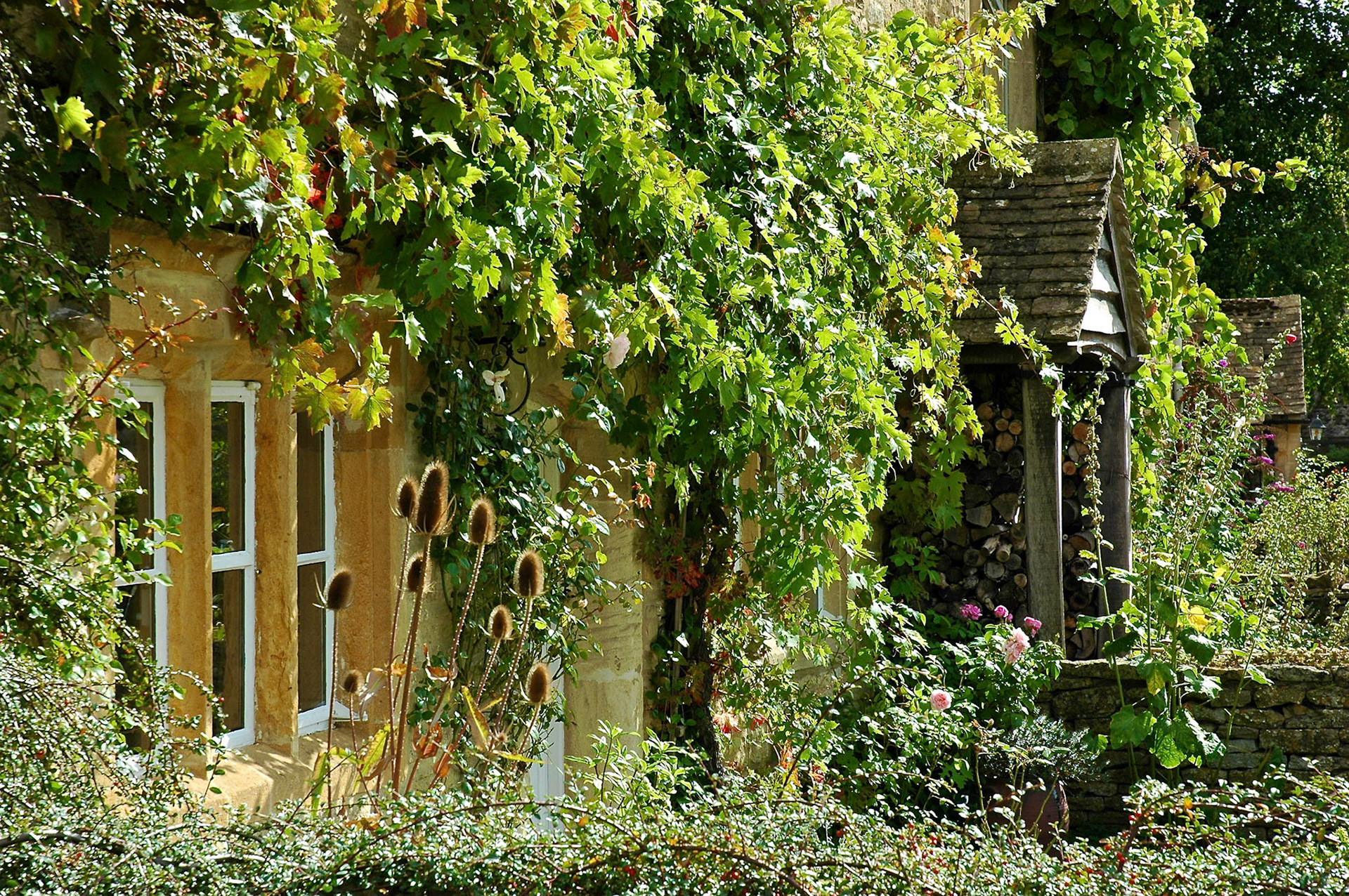 Rustic house covered with wisteria in Lower Slaughter, Cotswolds, England