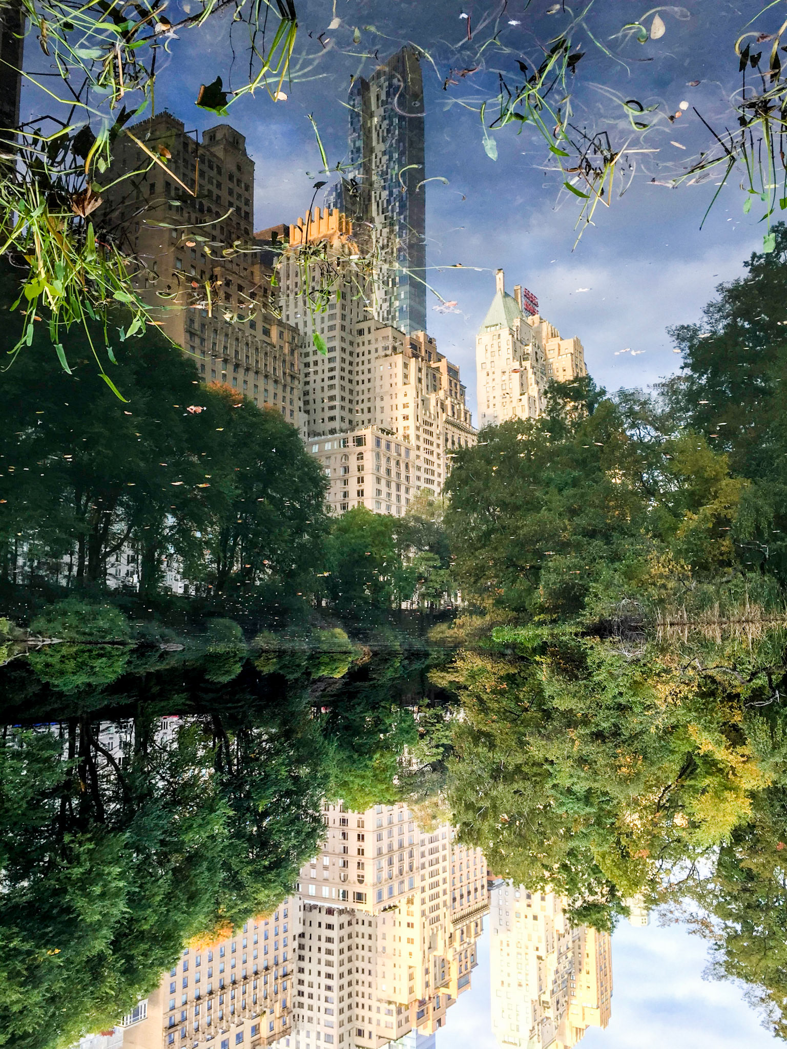 Inverted image of the reflection of Central Park South in the pond in Central Park