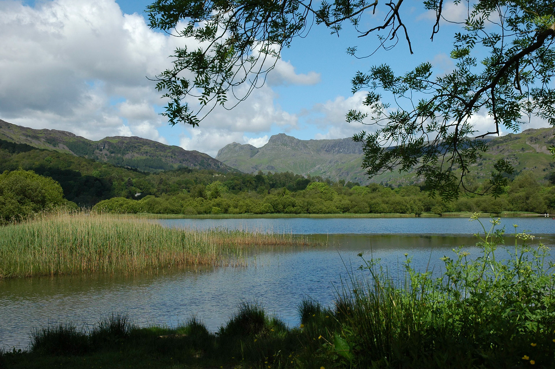 Elterwater and the Langdale Pikes in the English Lake District