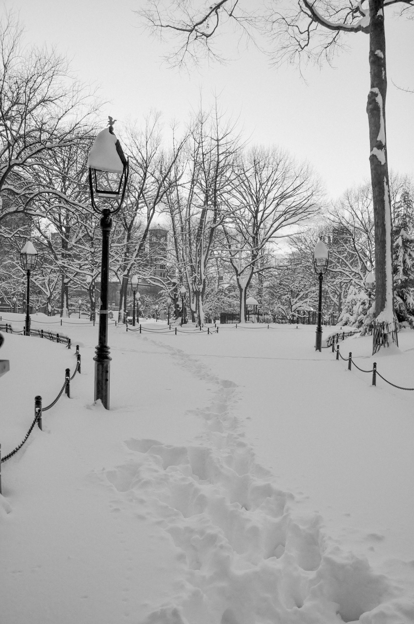 Snow tracks through Washington Square Park.