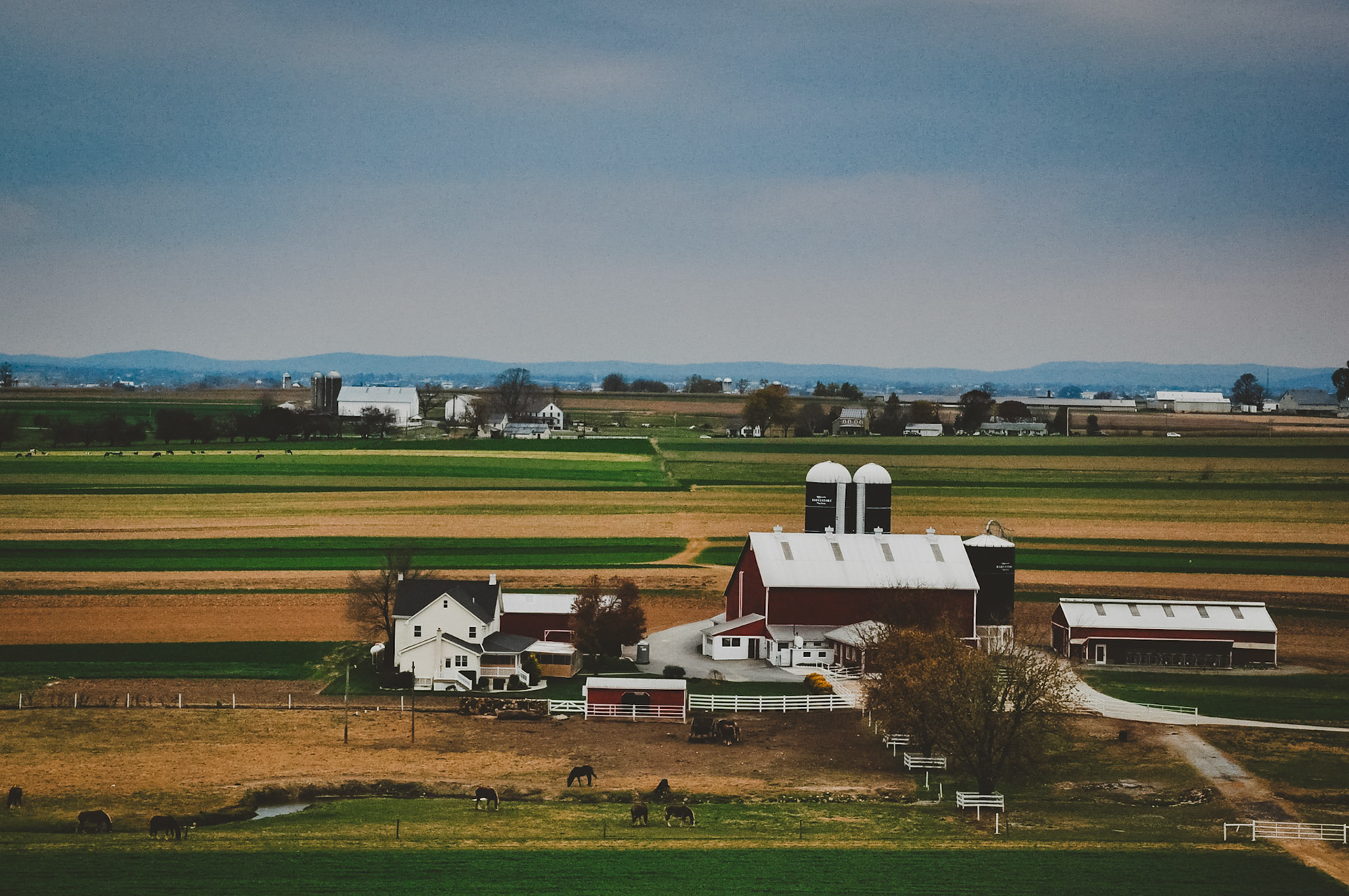 no cars and buggy parking?  probably Amish
