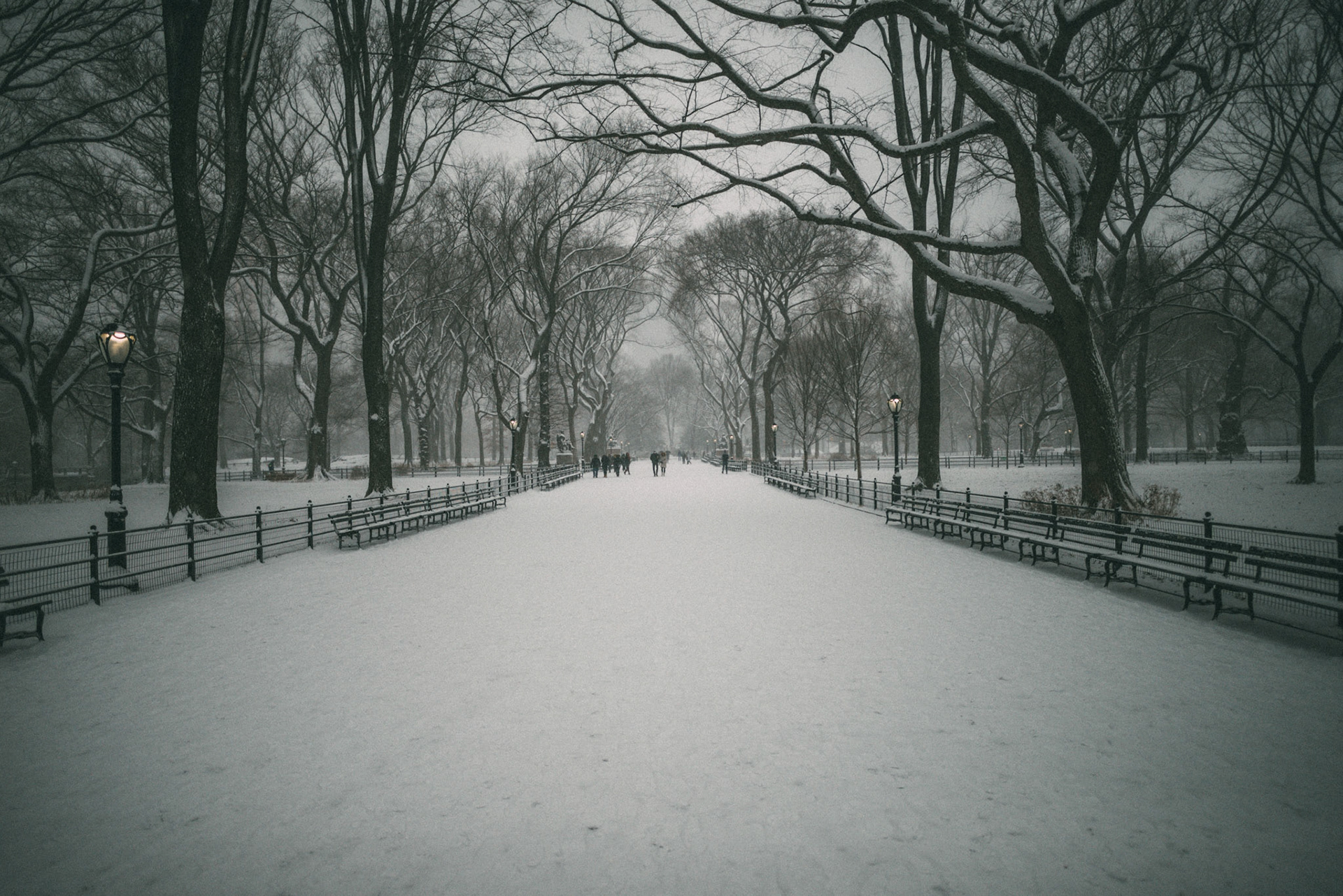 Walking through the mall in Central Park on the first snowfall of the year.