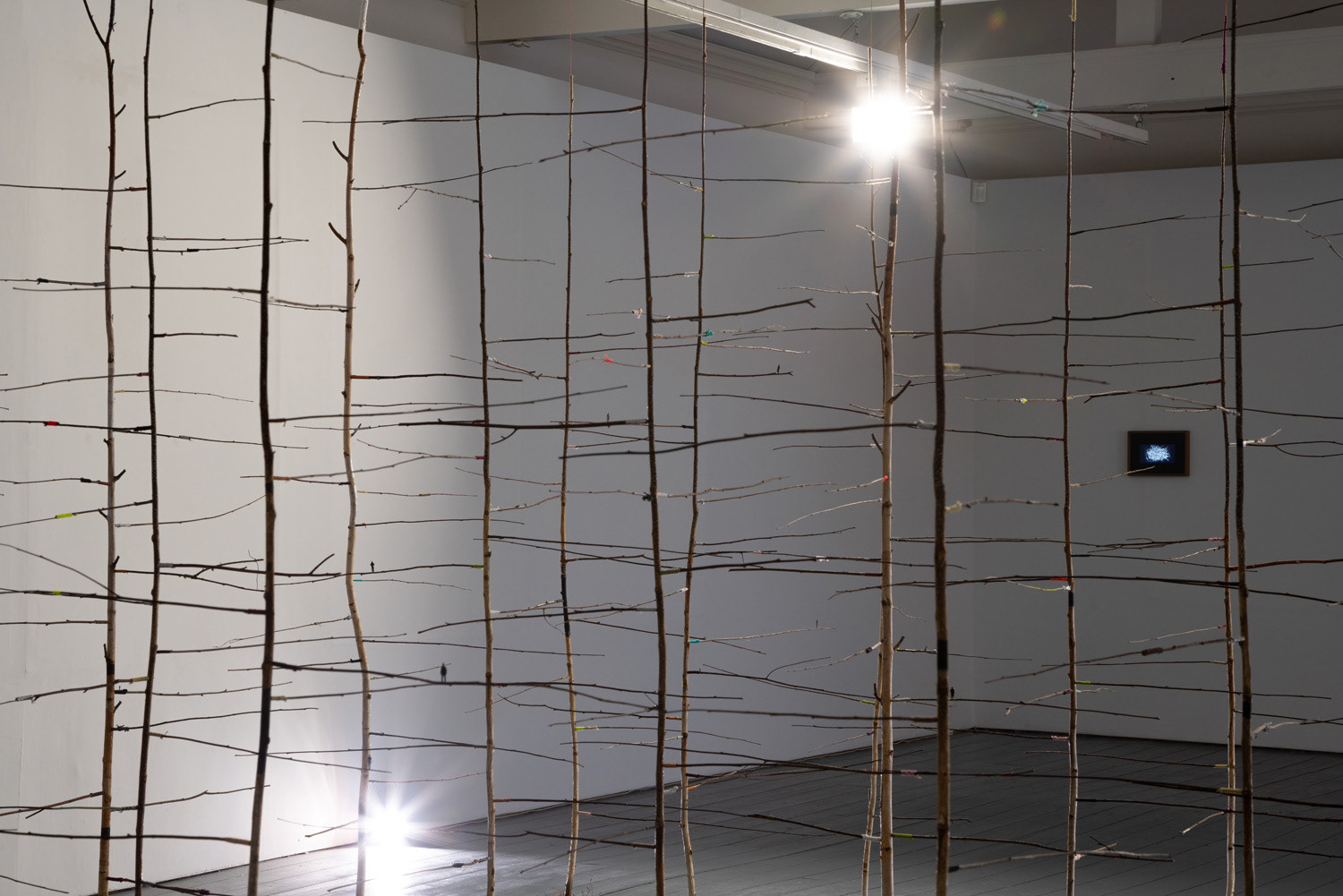 The Past is a Foreign Country (2018), 20 birch trees, twine, paper, paint, 400x300x300cm