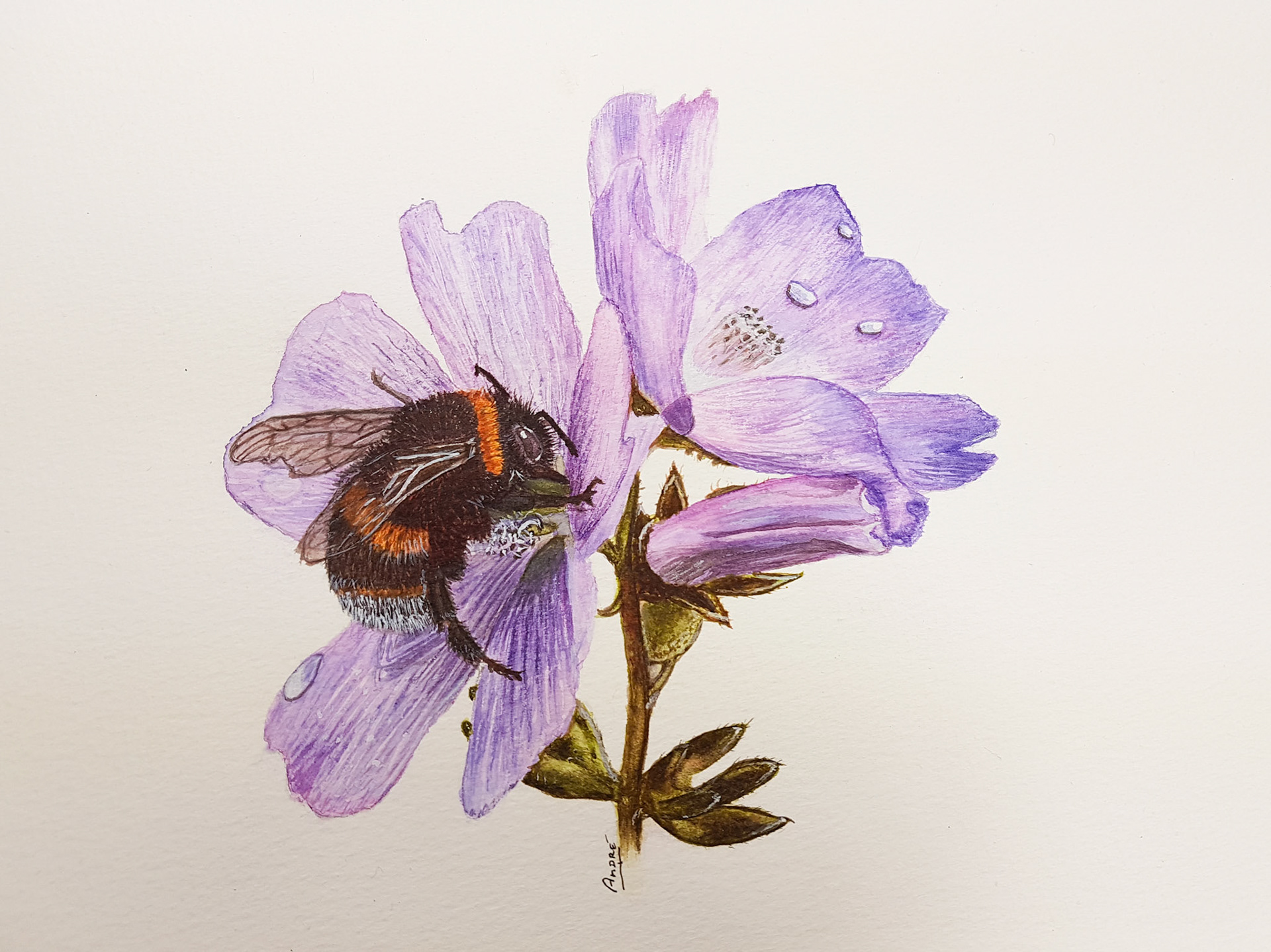 Bumblebee A4 (Tutorial by @thedevonartist)