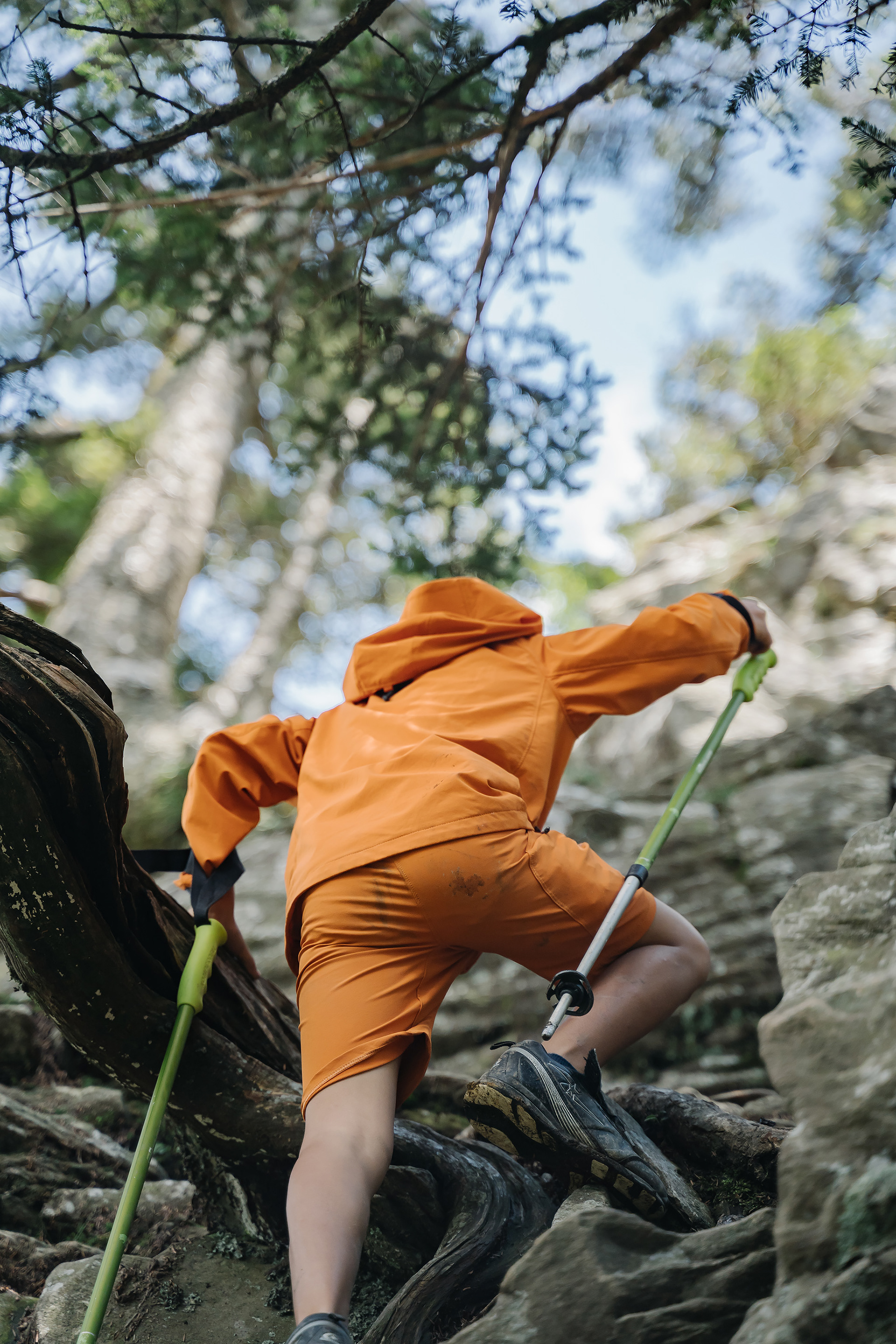 屏風山|Part.2|親子登山|家庭生活紀錄|Mountain Climbing