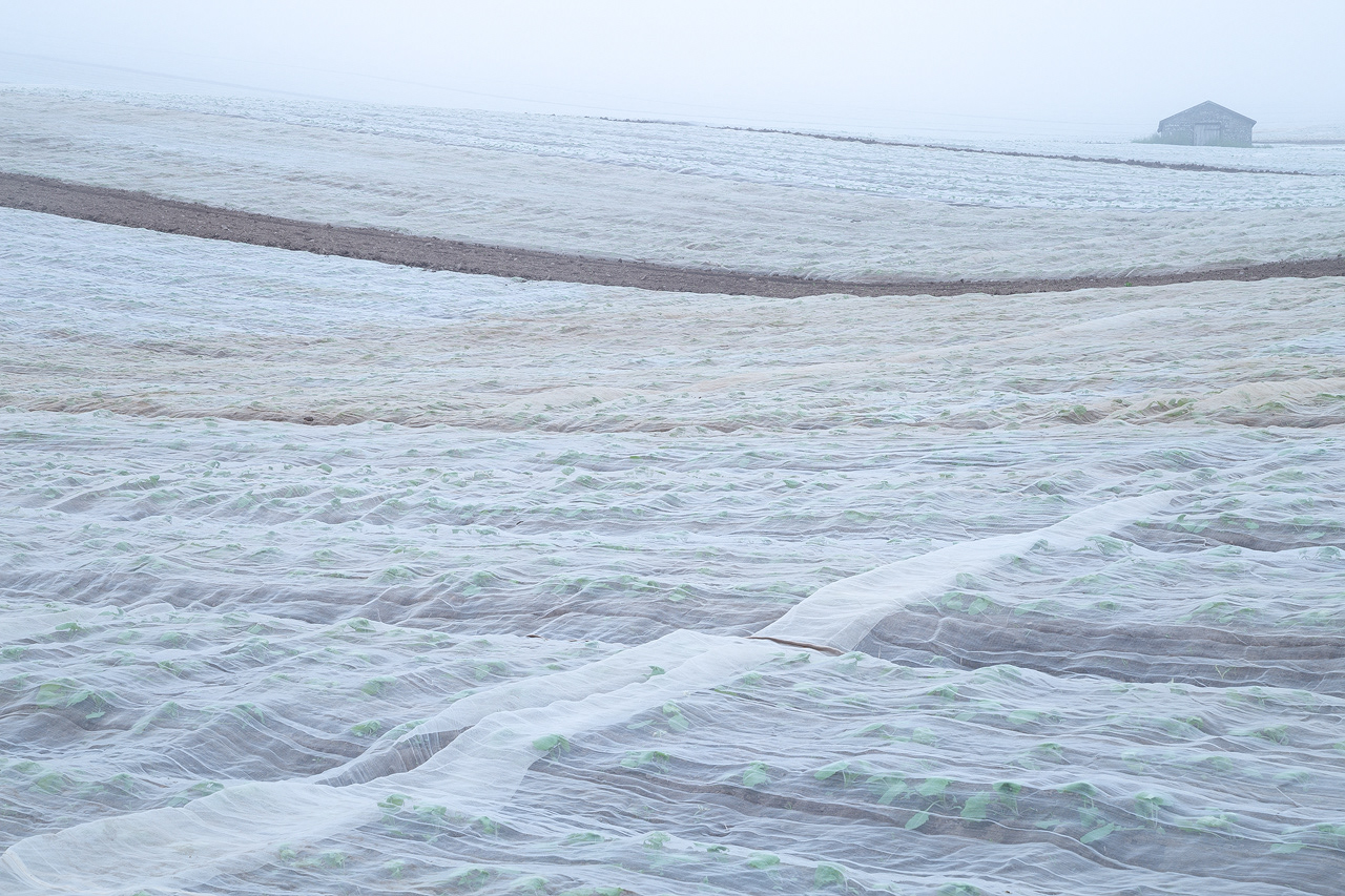 Old Fountainhead, Carse of Gowrie, Perthshire