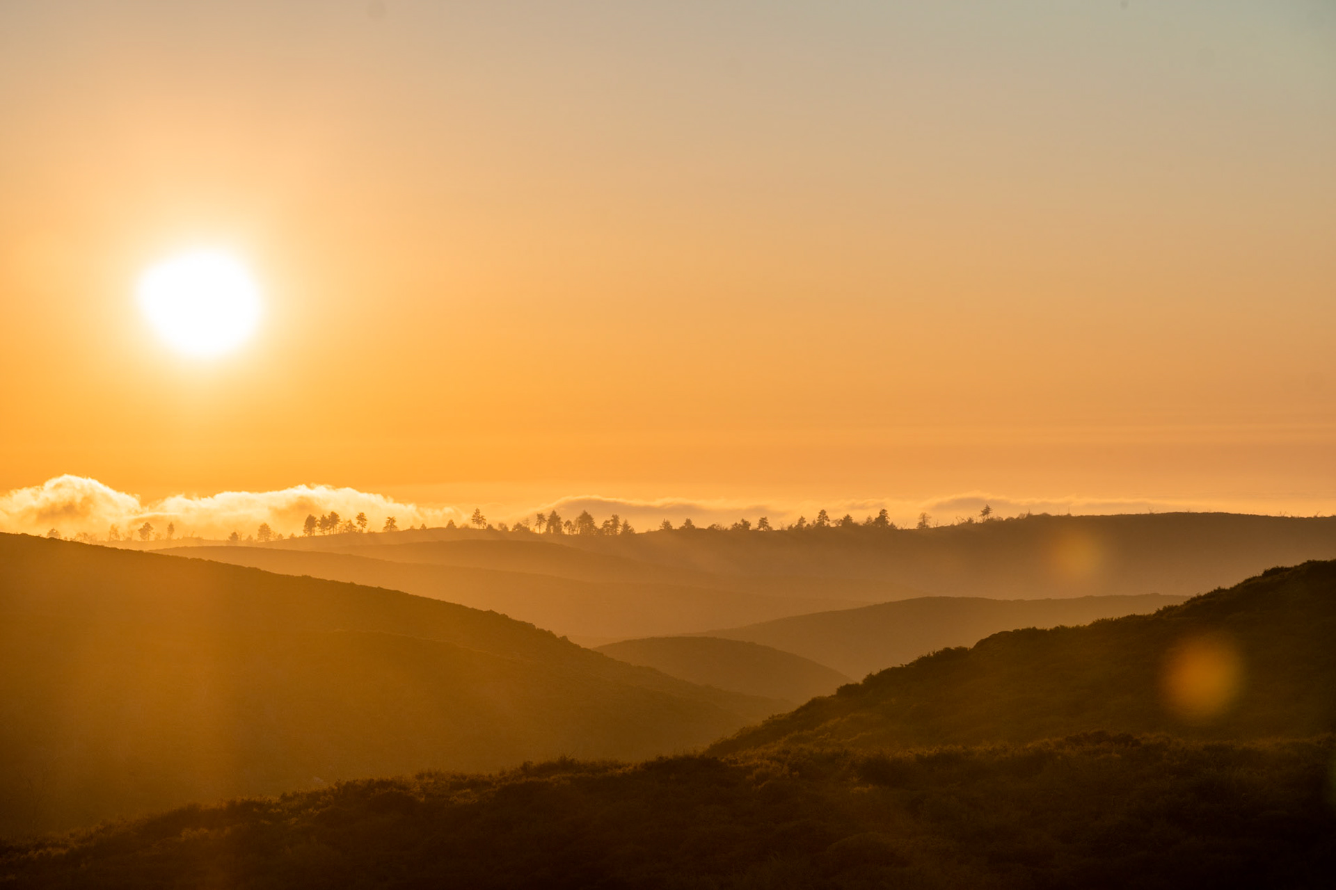 California