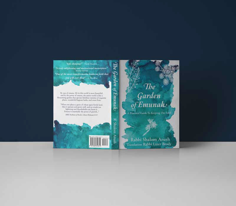 Shevi Designs Book Cover Redesign