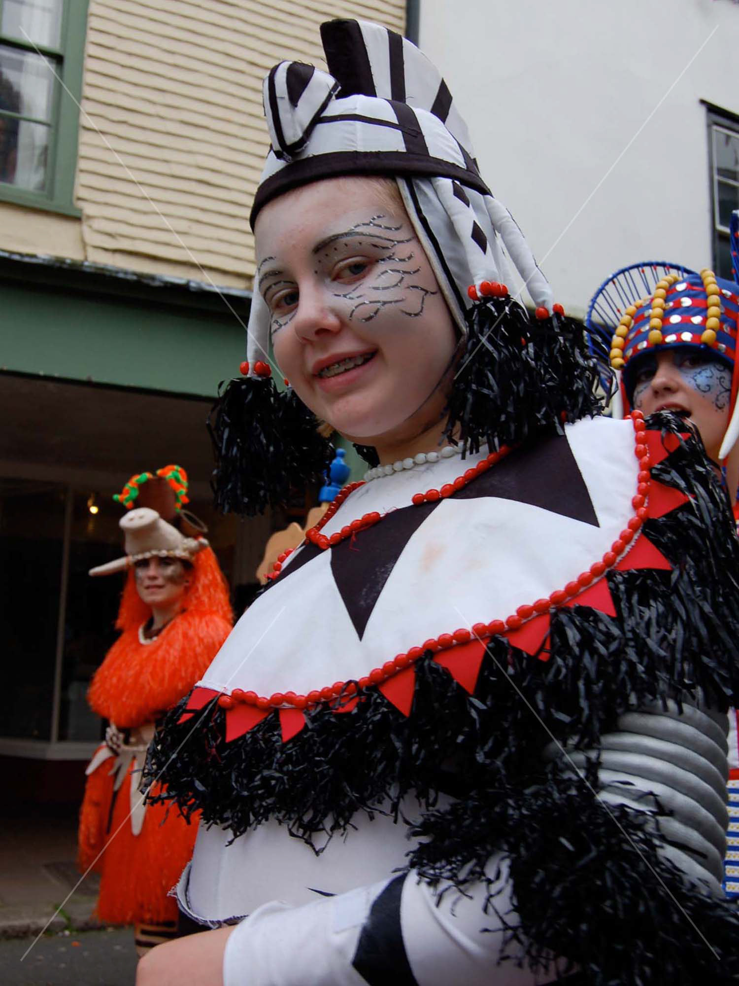 Photos of South Devon - Totnes Festival