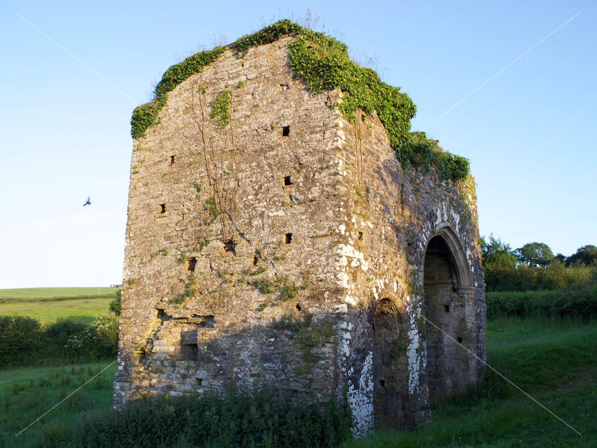 Photos of South Devon Cornworthy