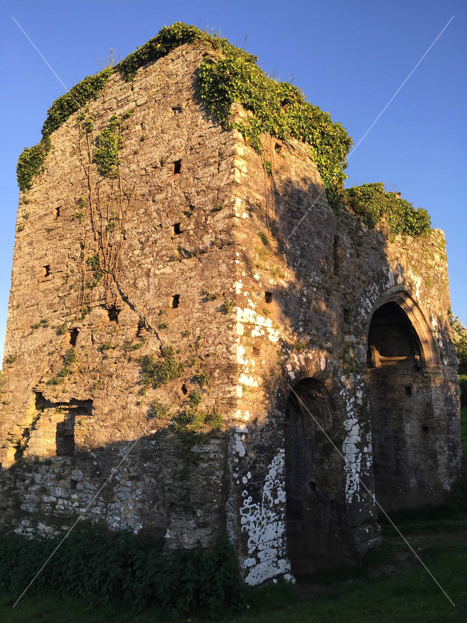 Photos of South Devon Cornworthy