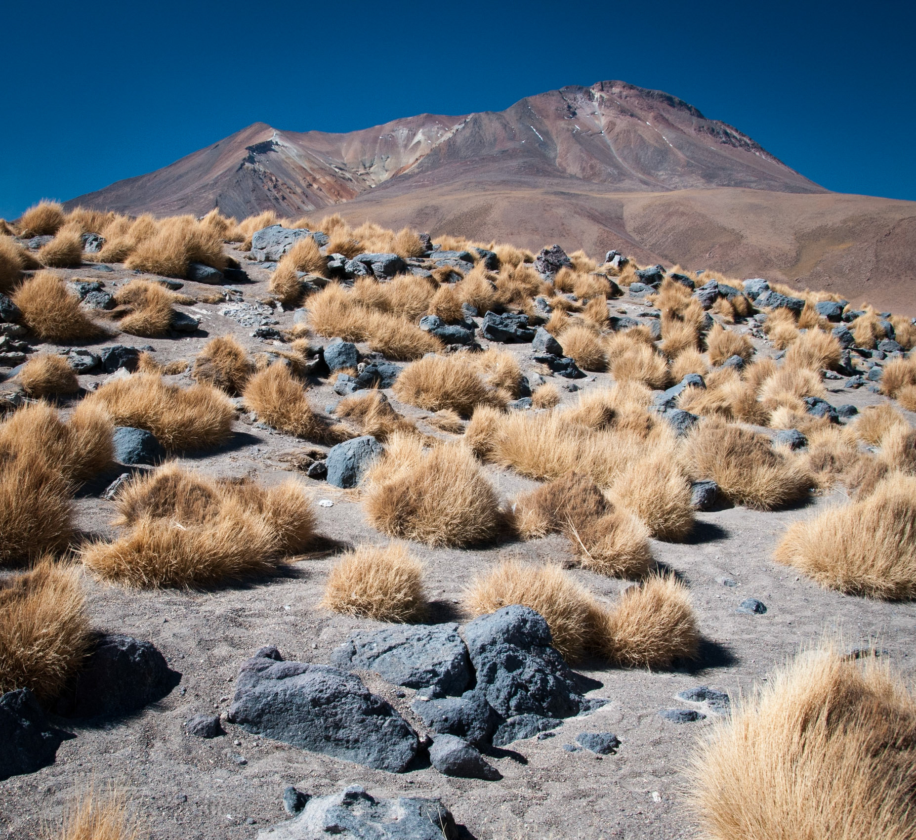 View near Laguna Canapa (Bolivia)