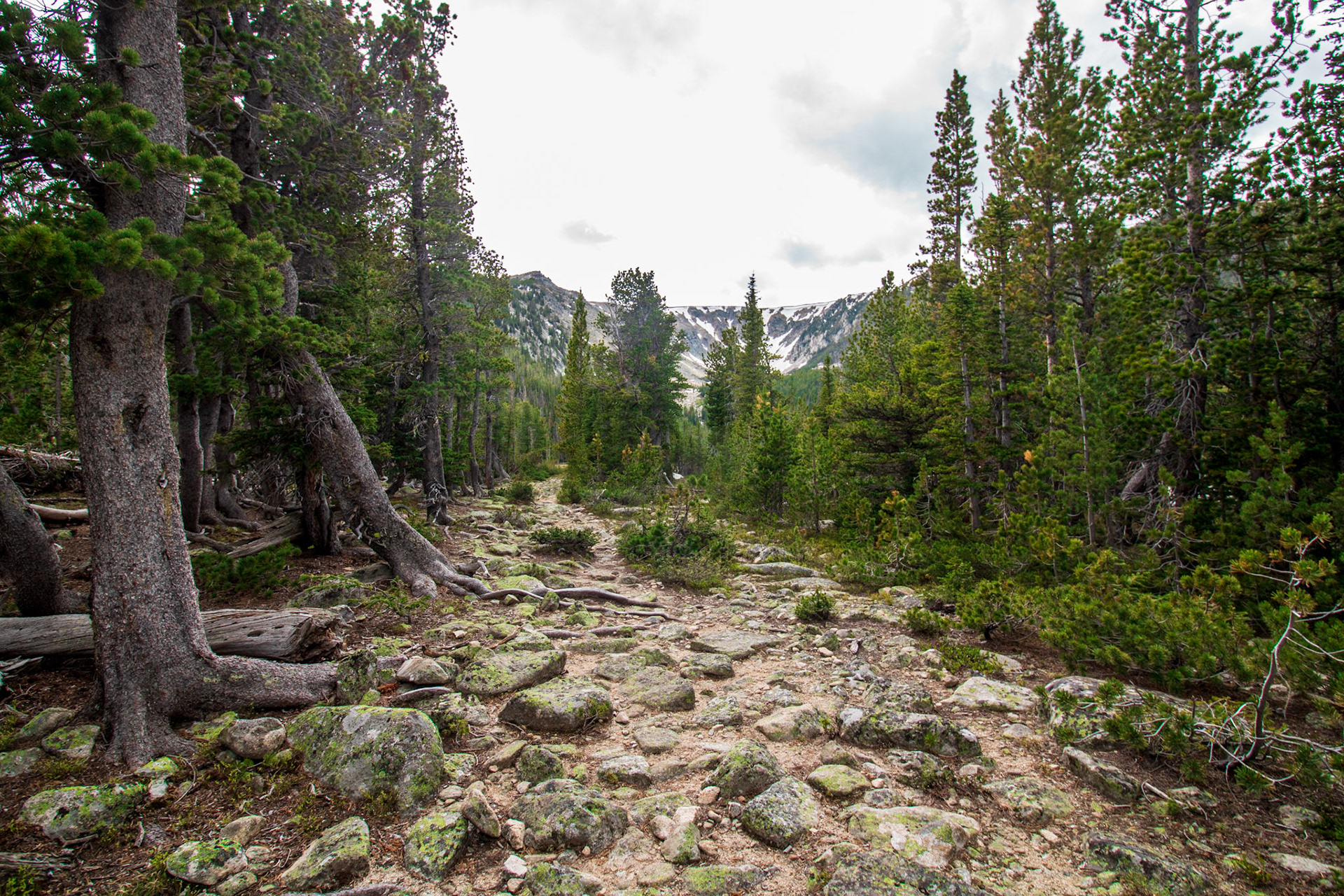 Dustin Parry Basin Lakes Trail No. 61 Red Lodge, Montana