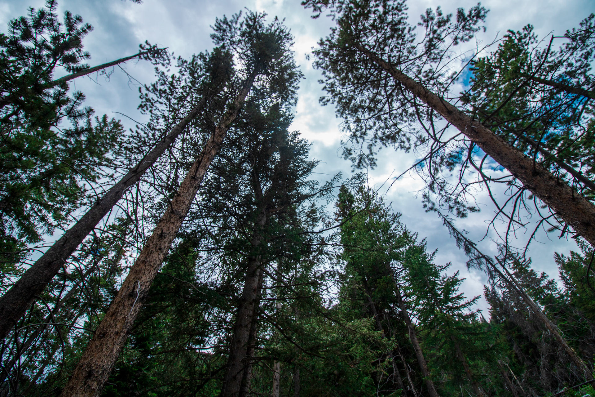 Dustin Parry Basin Lakes Trail No. 61 Red Lodge, Montana