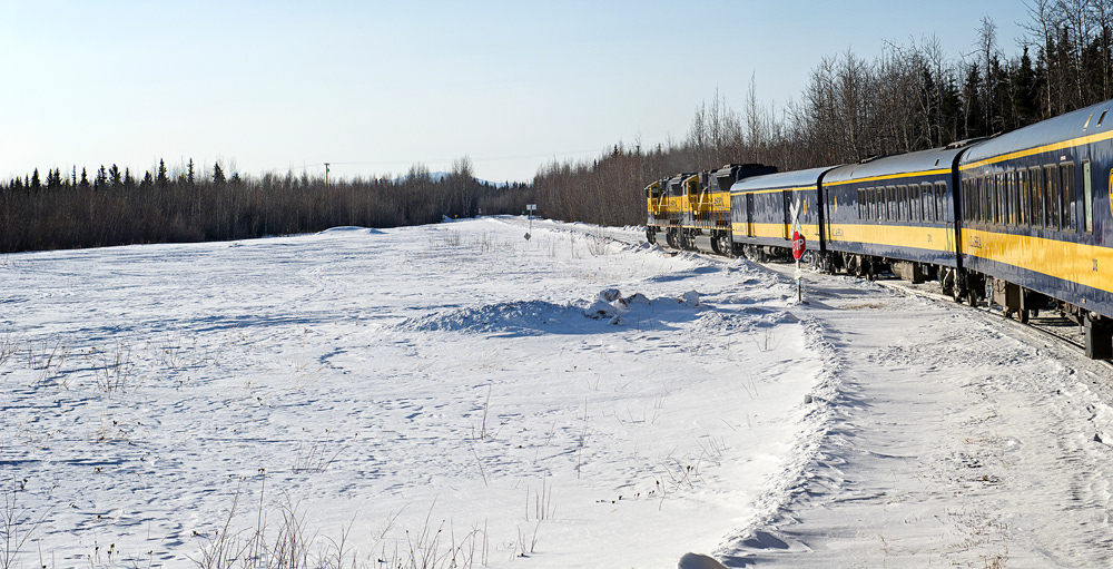 Photography Captura TRAIN FAIRBANKS TO ANCHORAGE