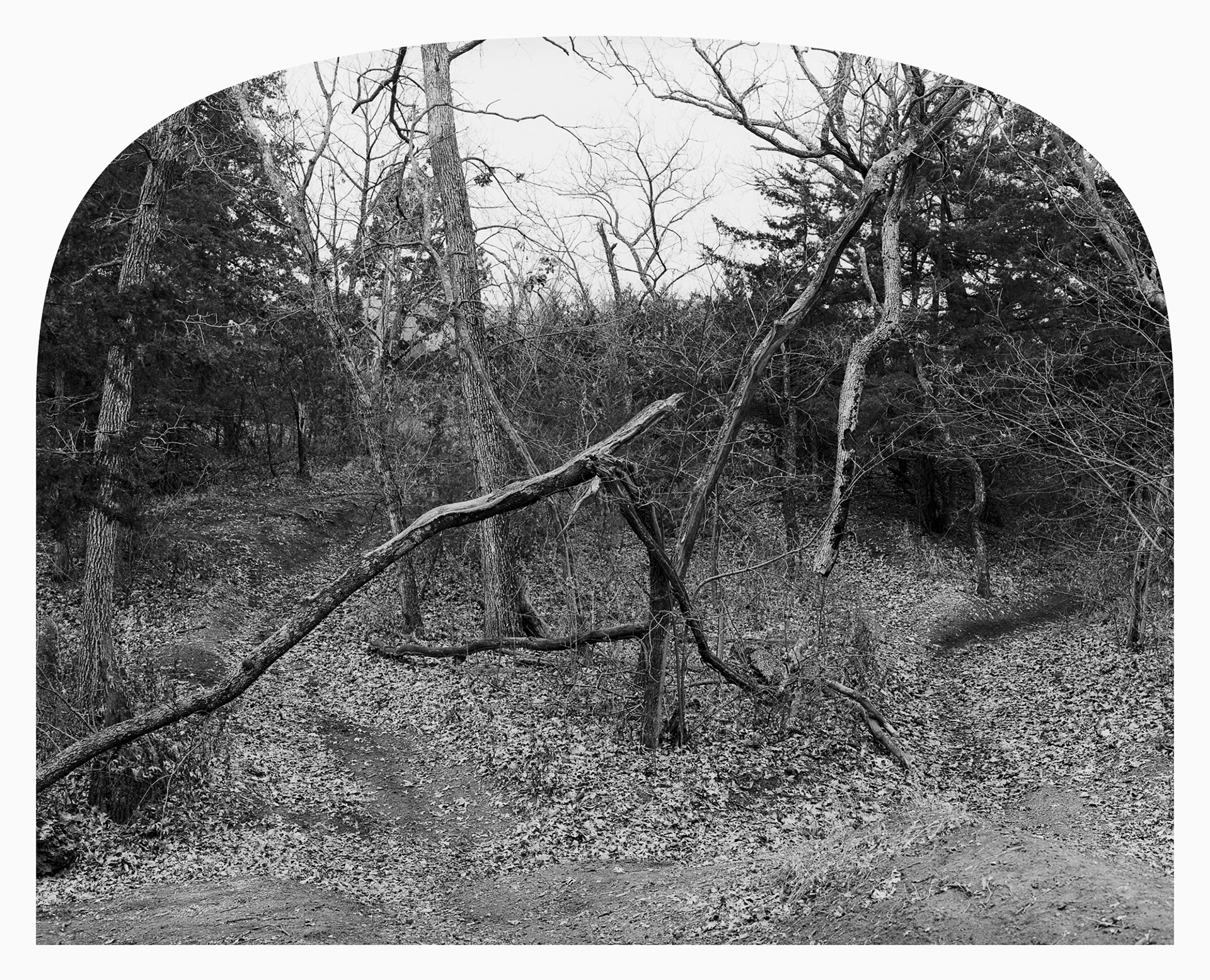 Difficult nature #1, Spillway Cycle Area, Kansas