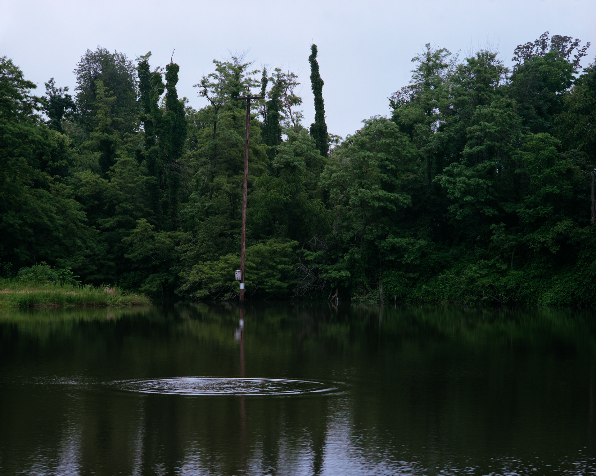 Beaver Pond, WMA, Kentucky
