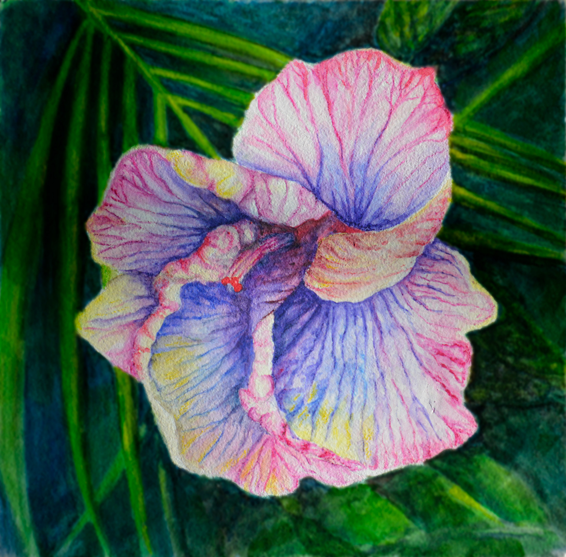 Hibiscus Aquabord