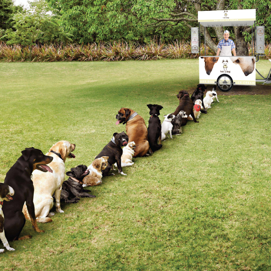 dog ice cream van product innovation designed by melissa carne in cornwall