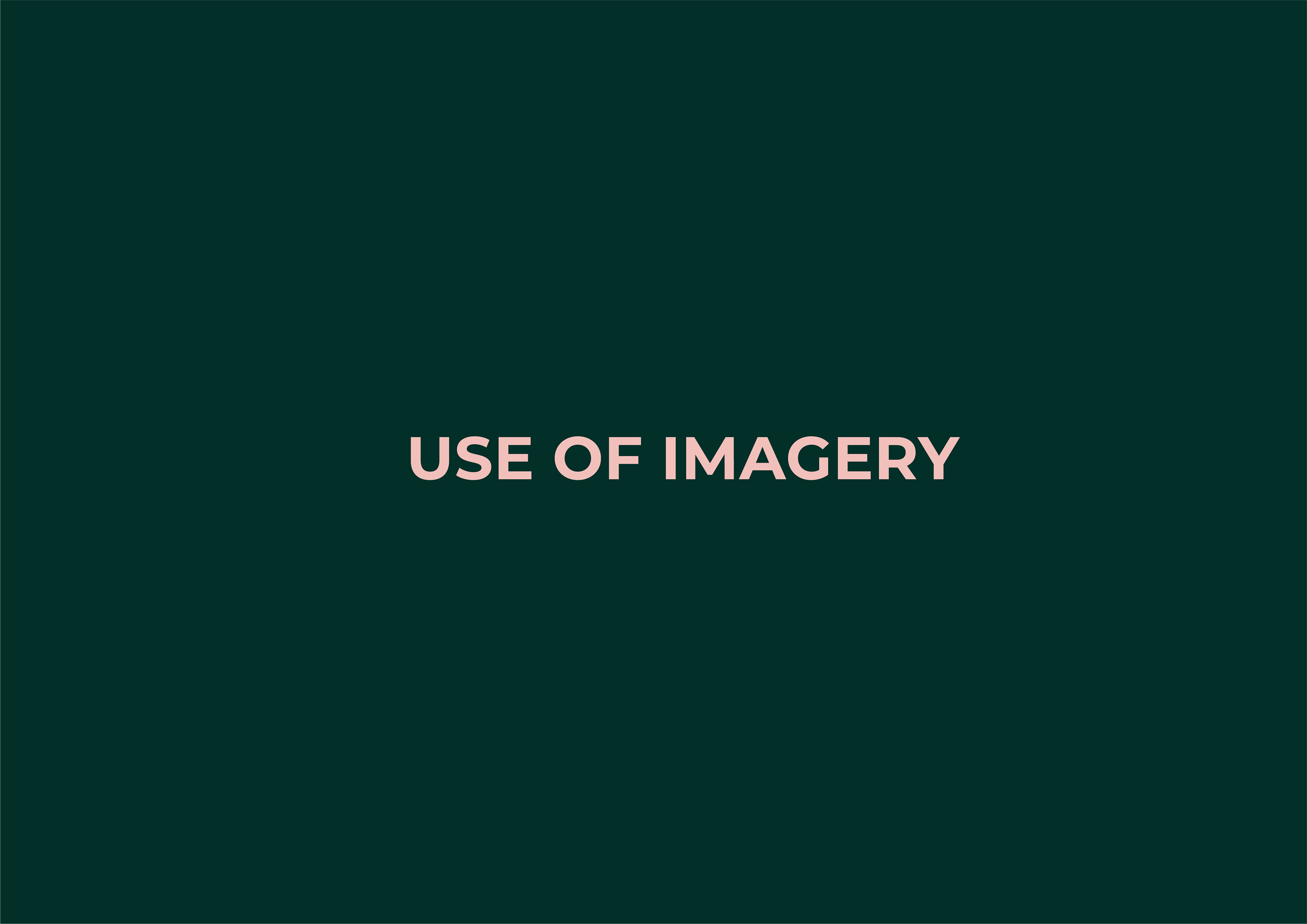 use of imagery of brand guidelines for now and then by freelance graphic designer melissa carne