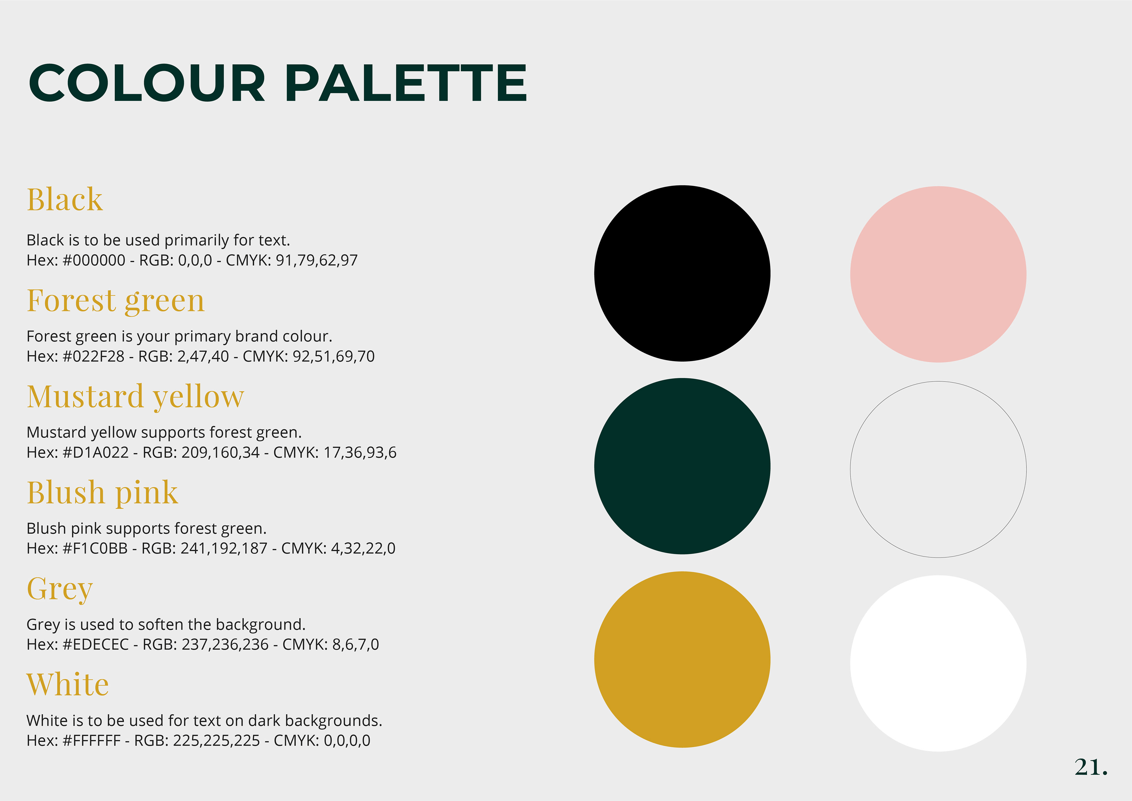 colour palette of brand guidelines for now and then by freelance graphic designer melissa carne