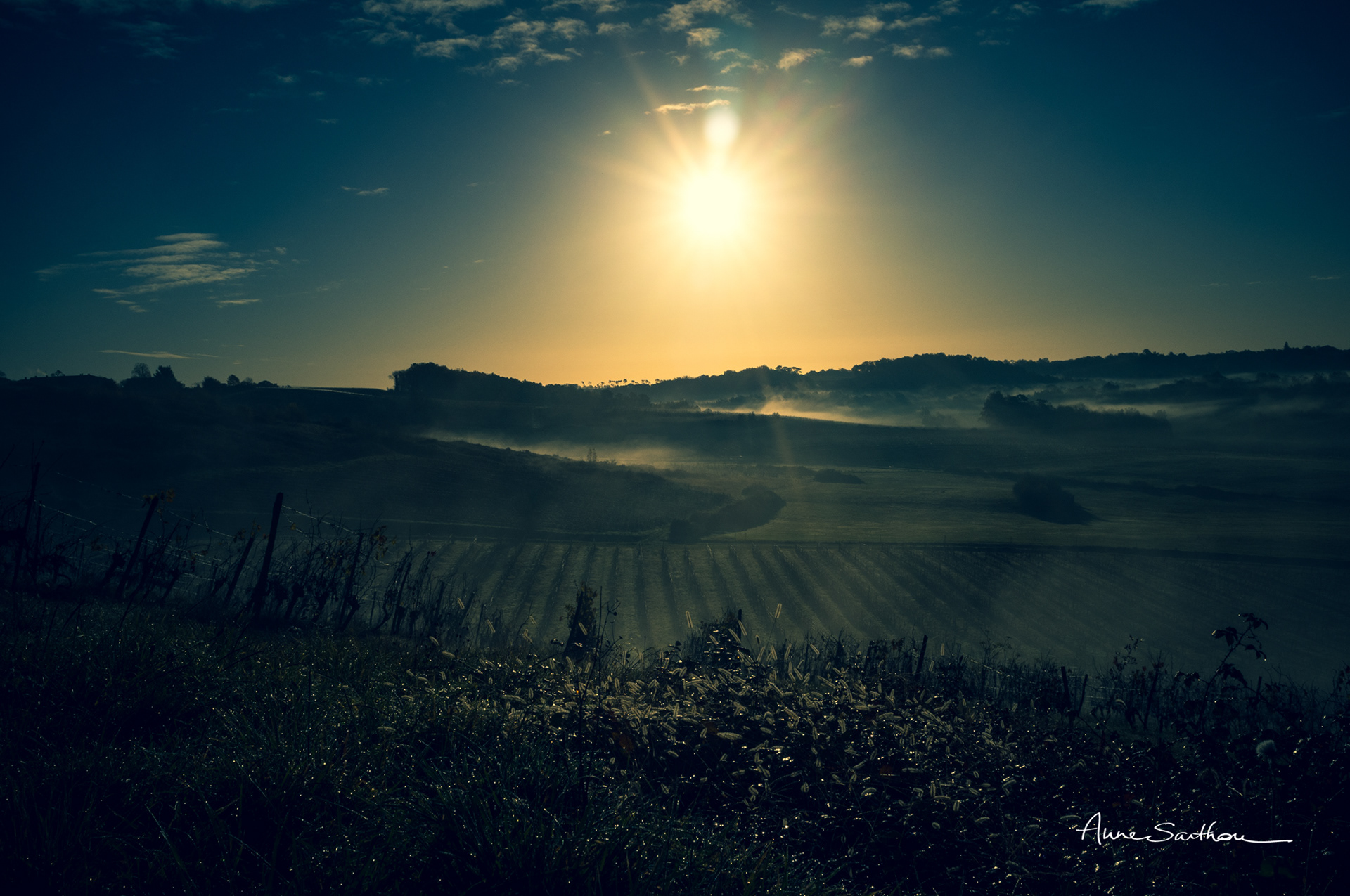 Champs et vignes