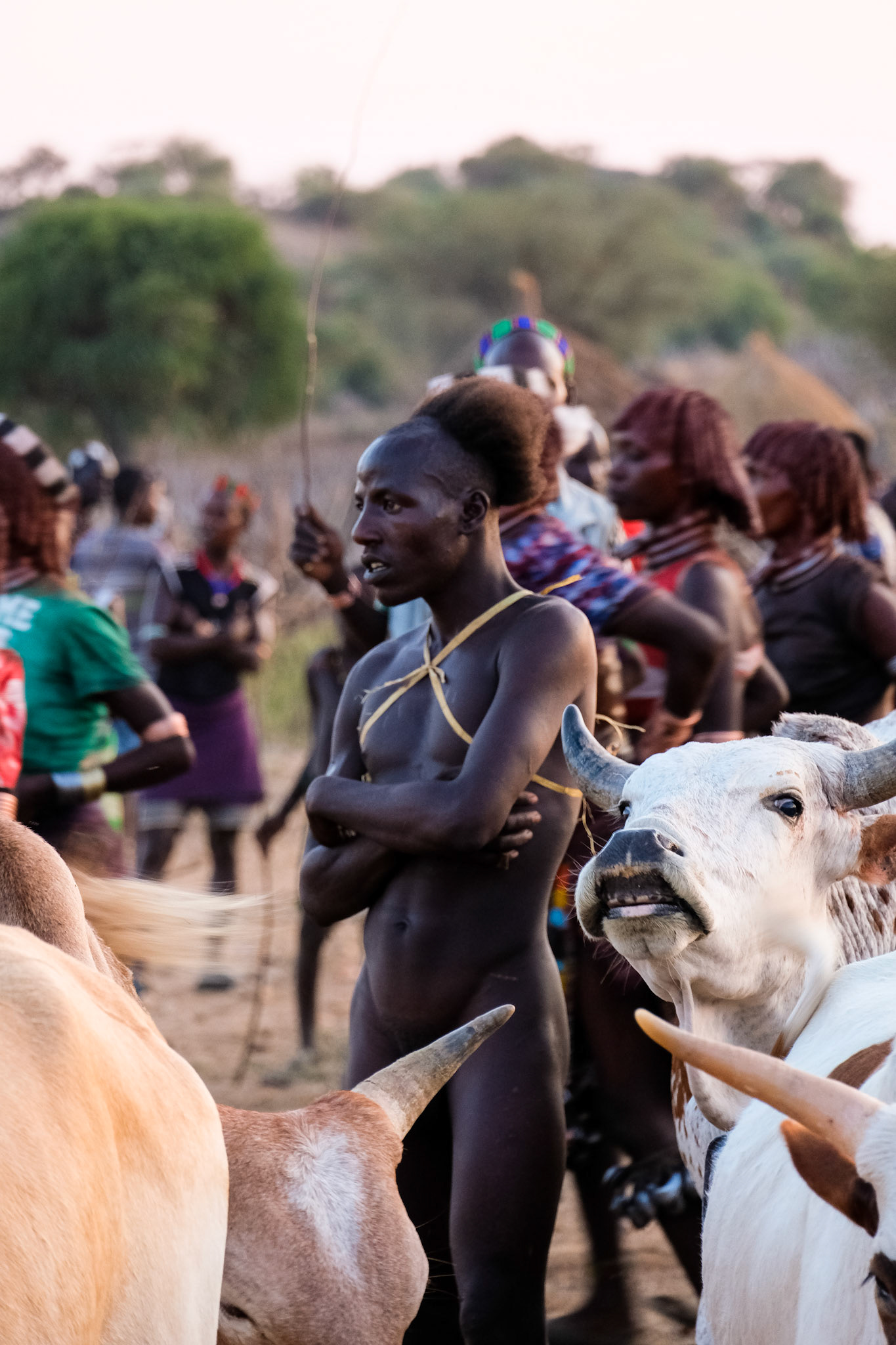 Hamer Tribe // Bull Jumping Ceremony