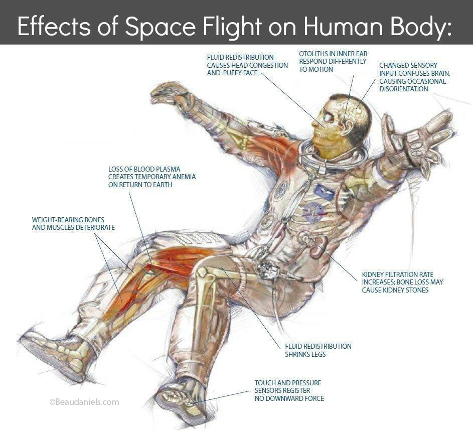 one way space travel affects the human body