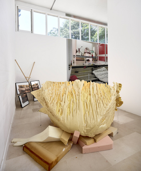 Emmanuelle laine, Villa Arson, exhibition view 2016