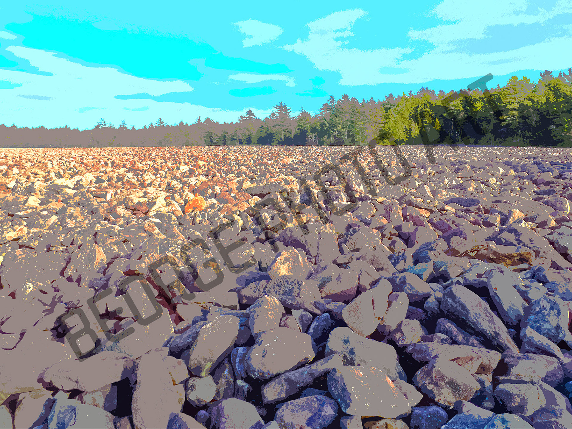 Boulder Field Bonanza