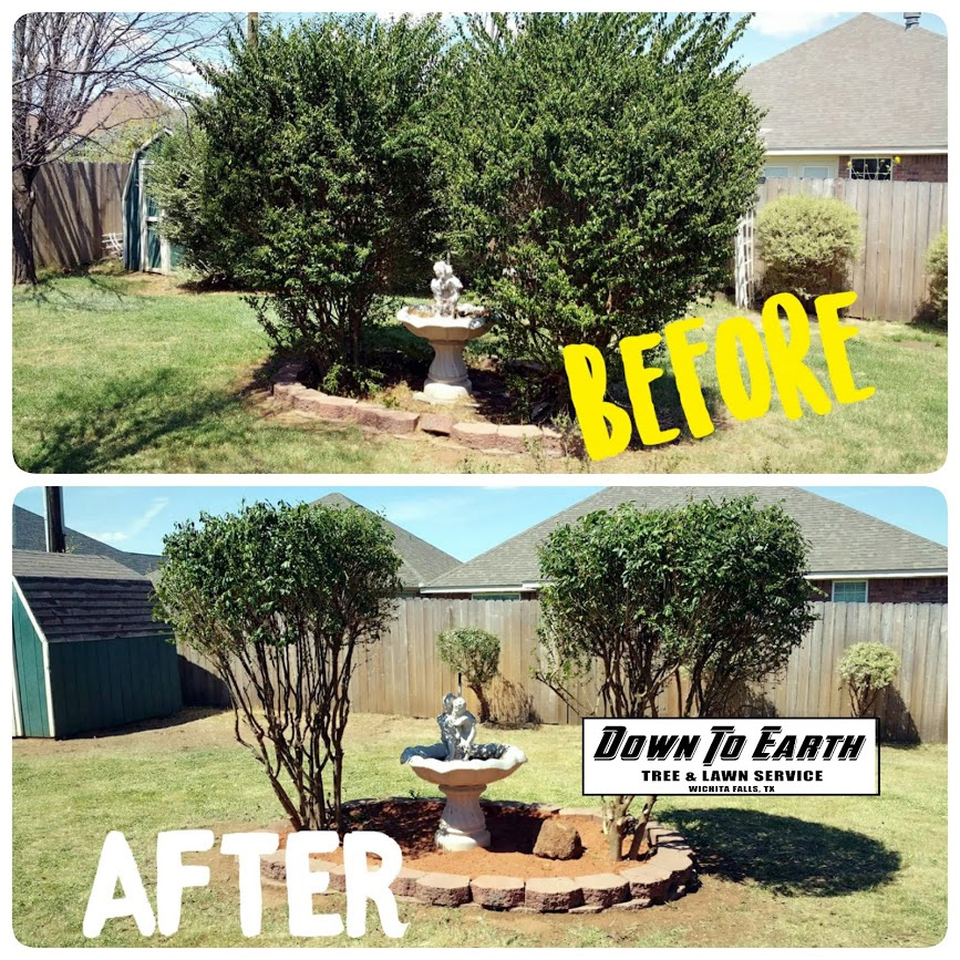 Facebook Campaign/Ad | Down To Earth Tree Services